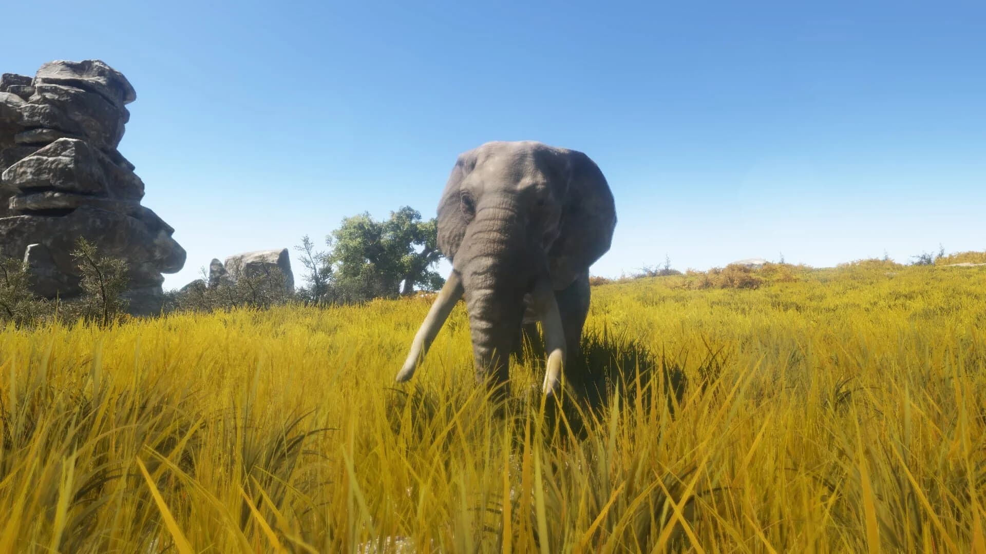Animallica screenshot 3