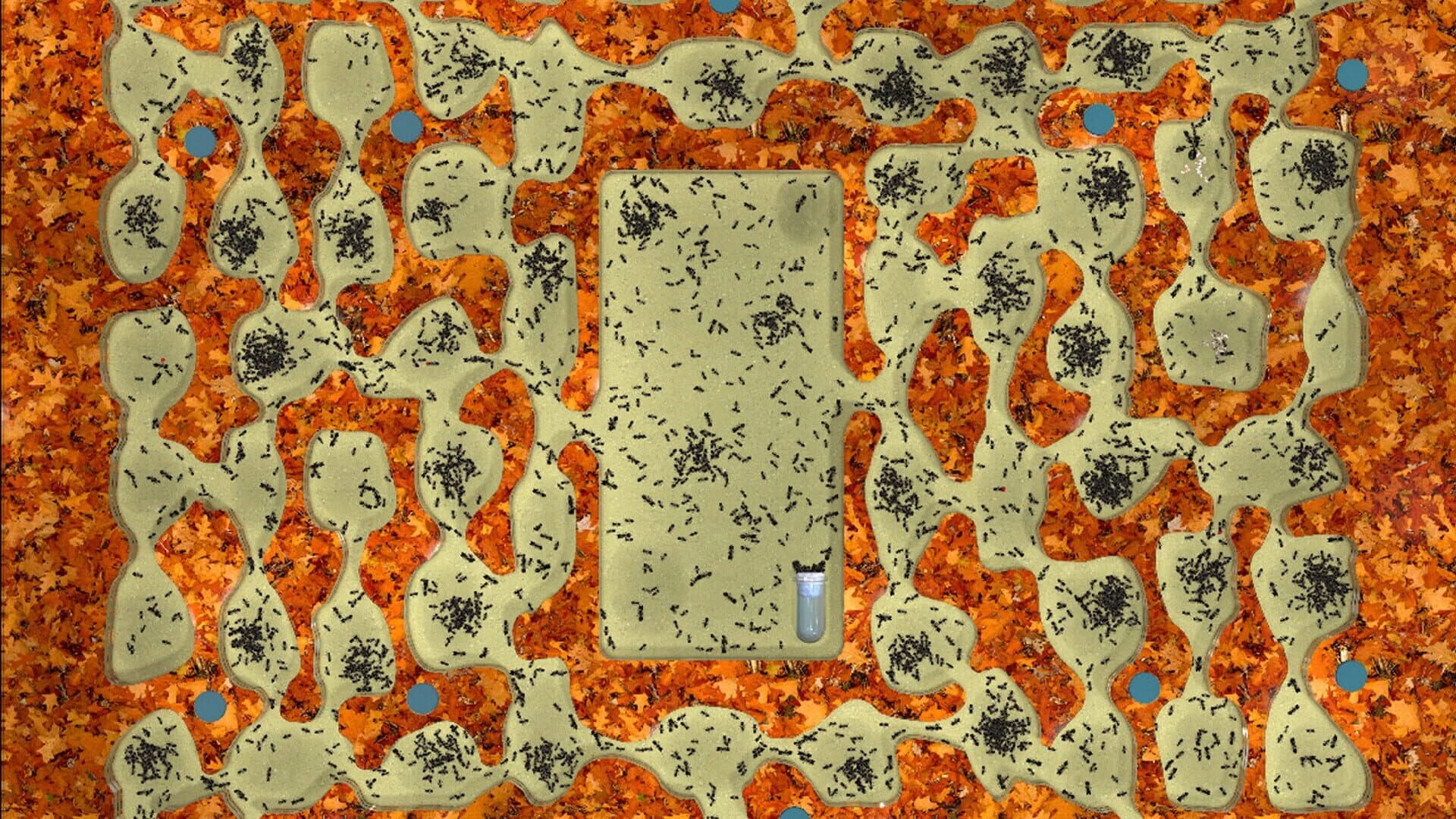 Ant Farm Simulator screenshot 4