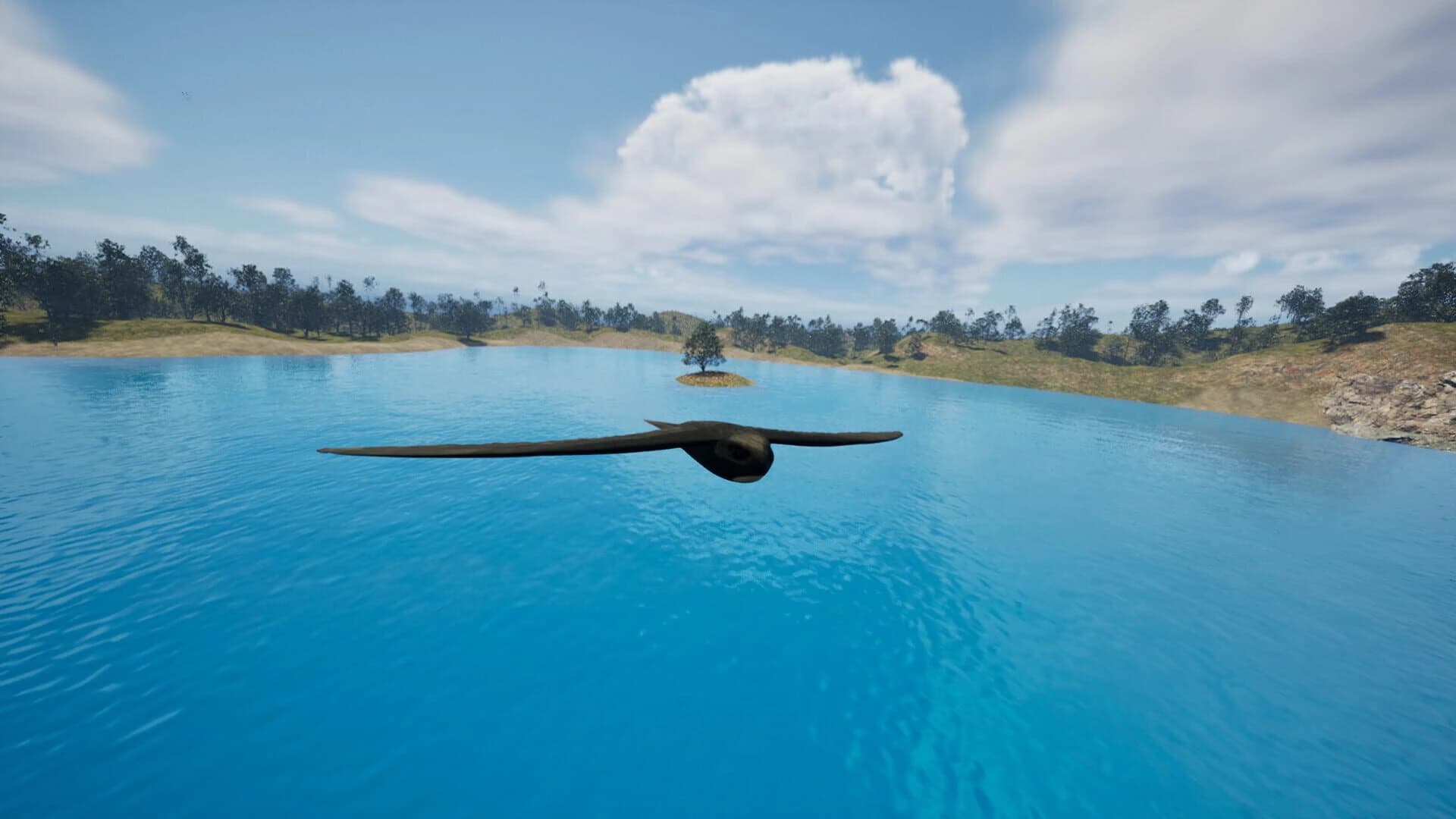 APUS: Bird Simulator screenshot 2