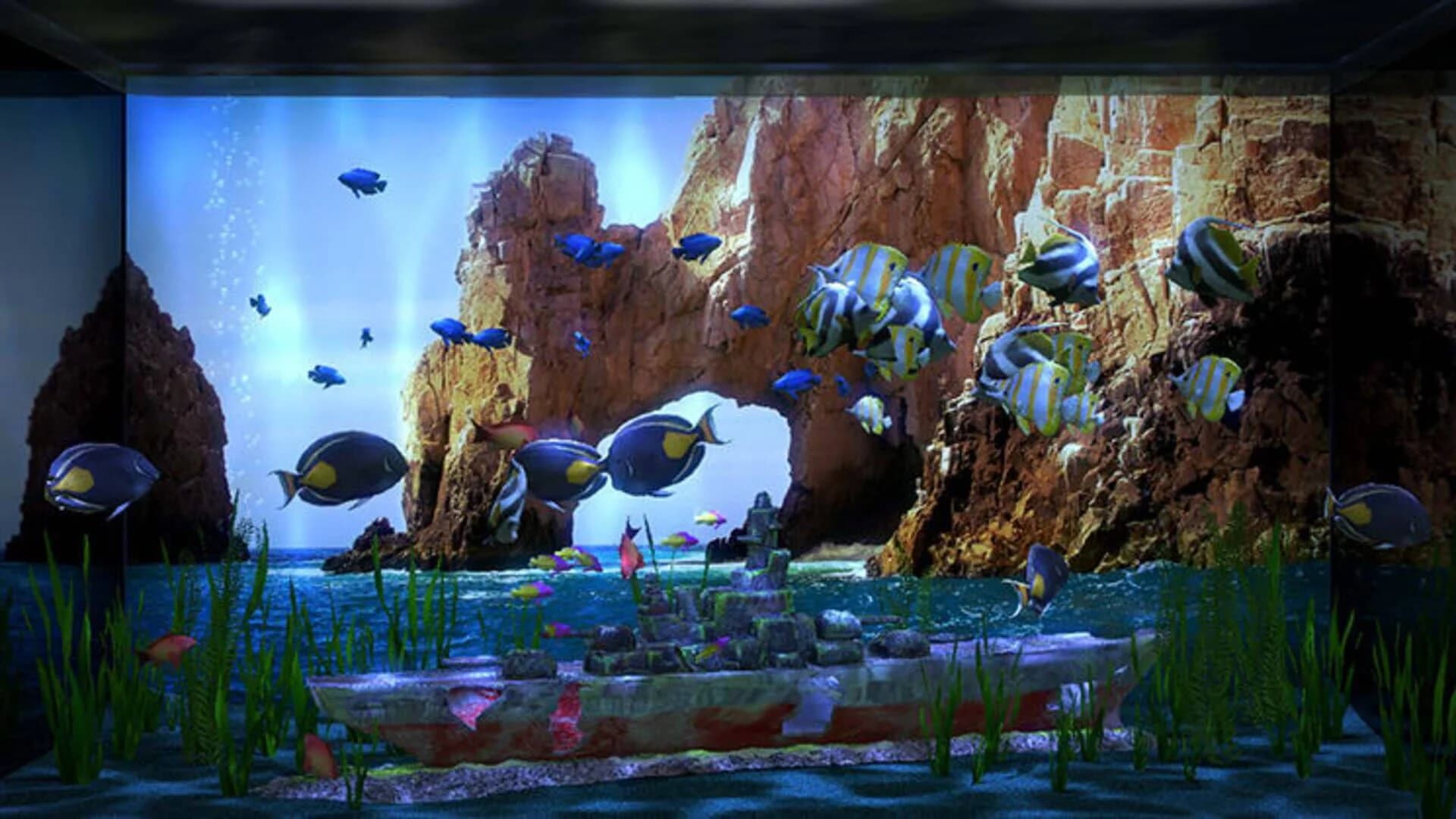 Aqua TV screenshot 4