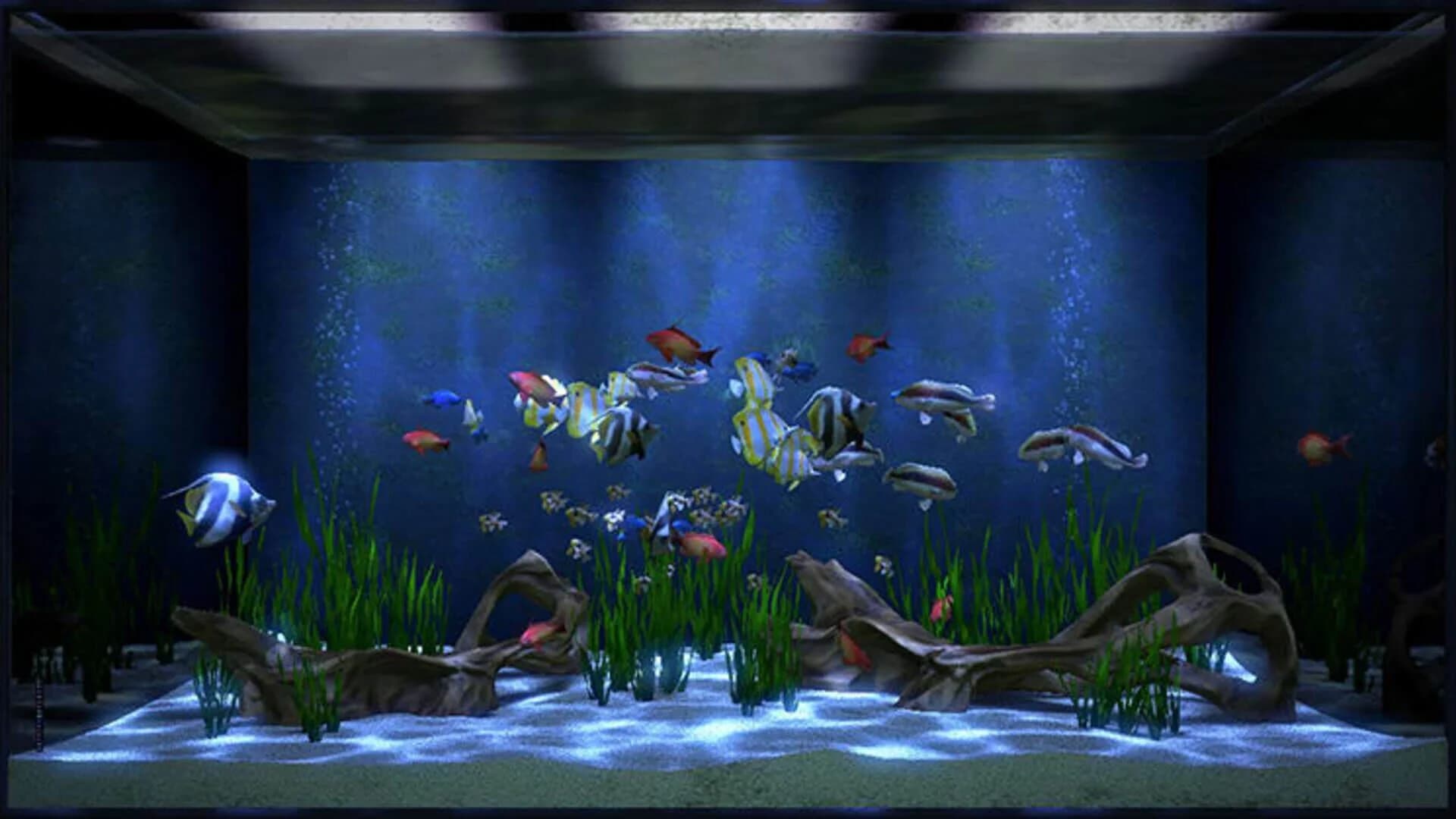 Aqua TV screenshot 1