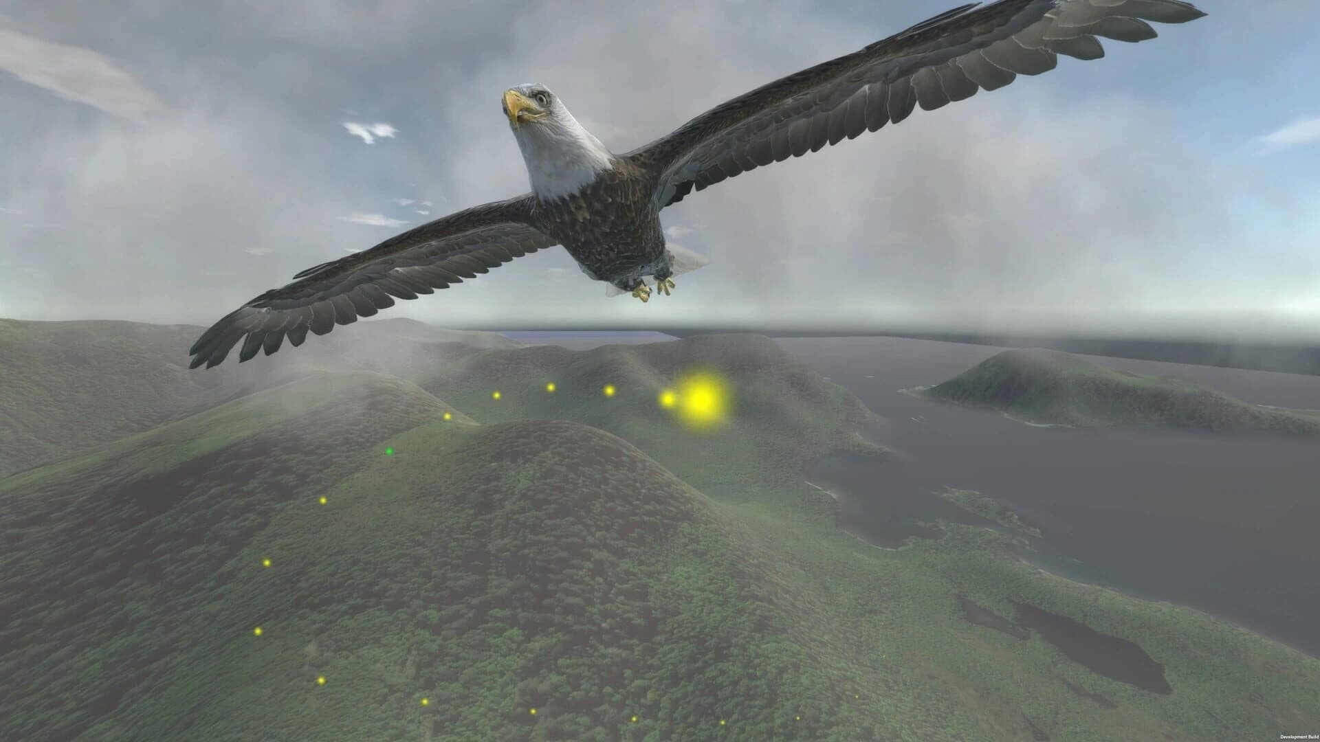 Aquila Bird Flight Simulator screenshot 4
