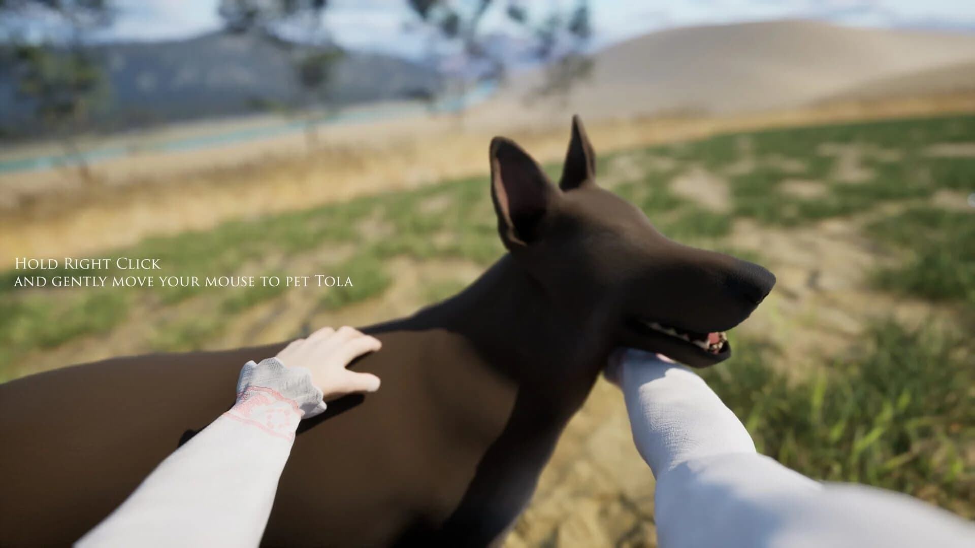 Arcadian Days screenshot 5