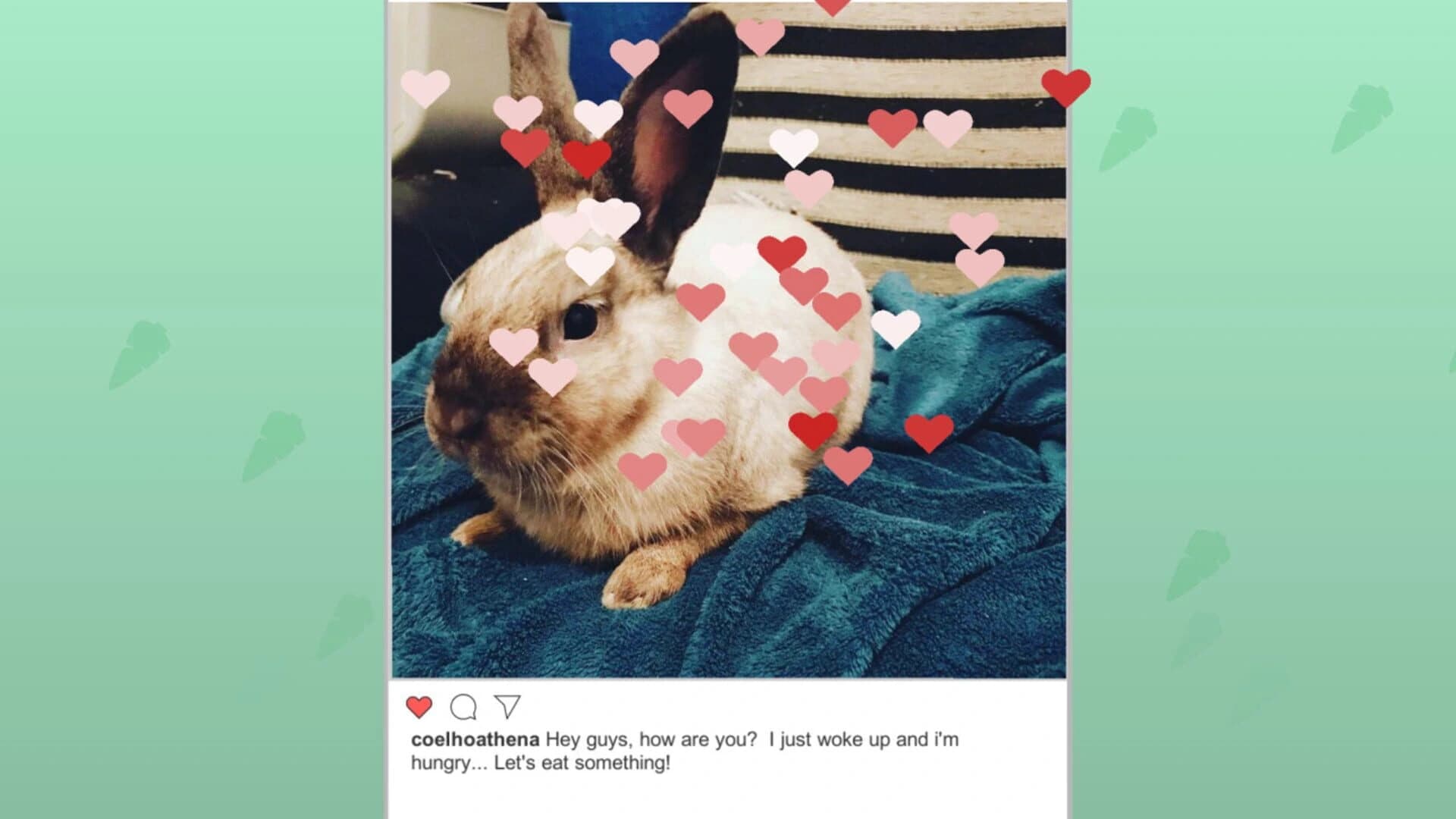 Athena, the rabbit: Jigsaw Puzzle screenshot 1