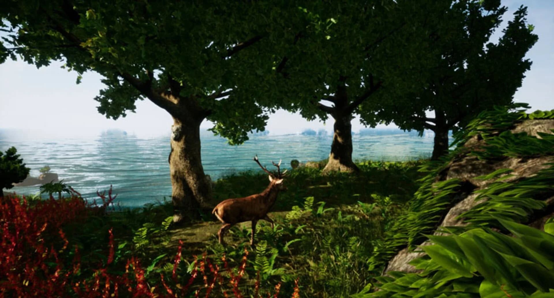 Away: The Survival Series screenshot 5