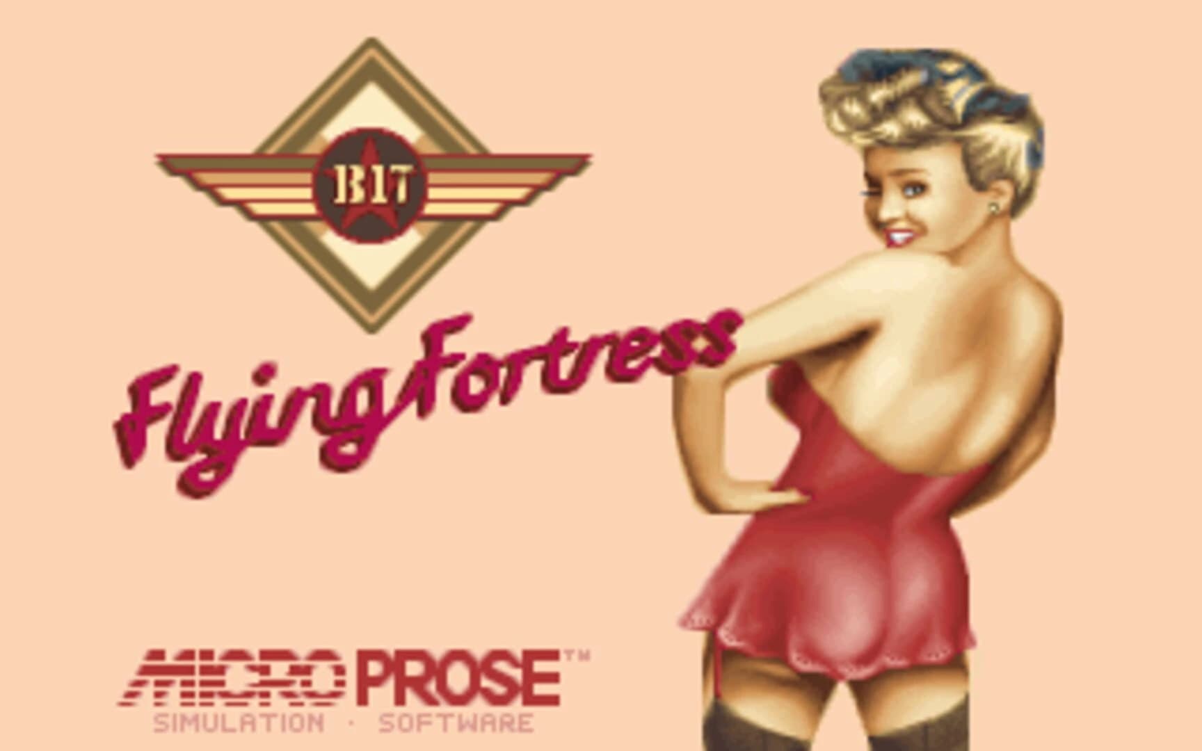 B17 Flying Fortress screenshot 1