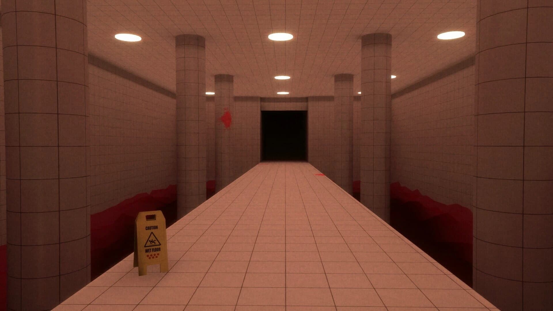 Backrooms Level X screenshot 2