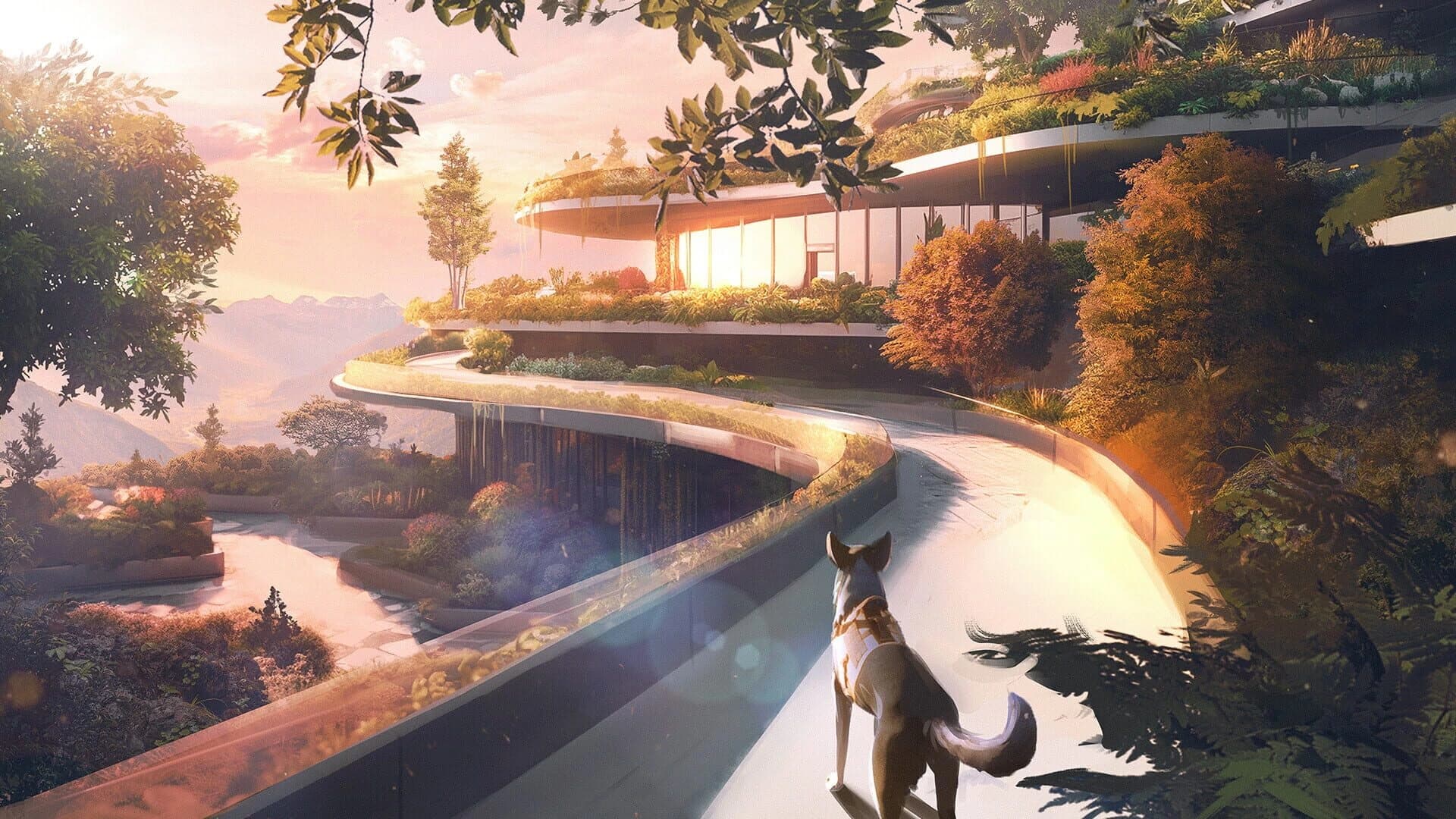 Barkour screenshot 4