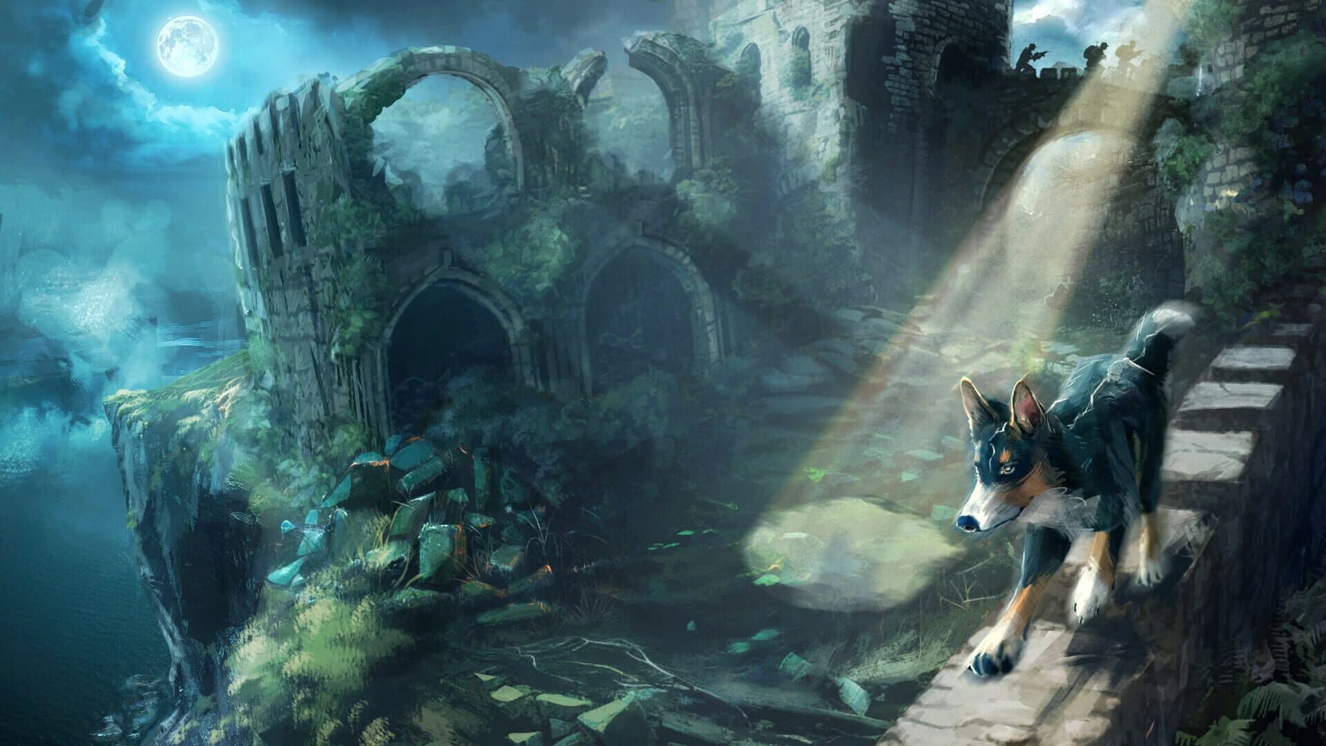 Barkour screenshot 1