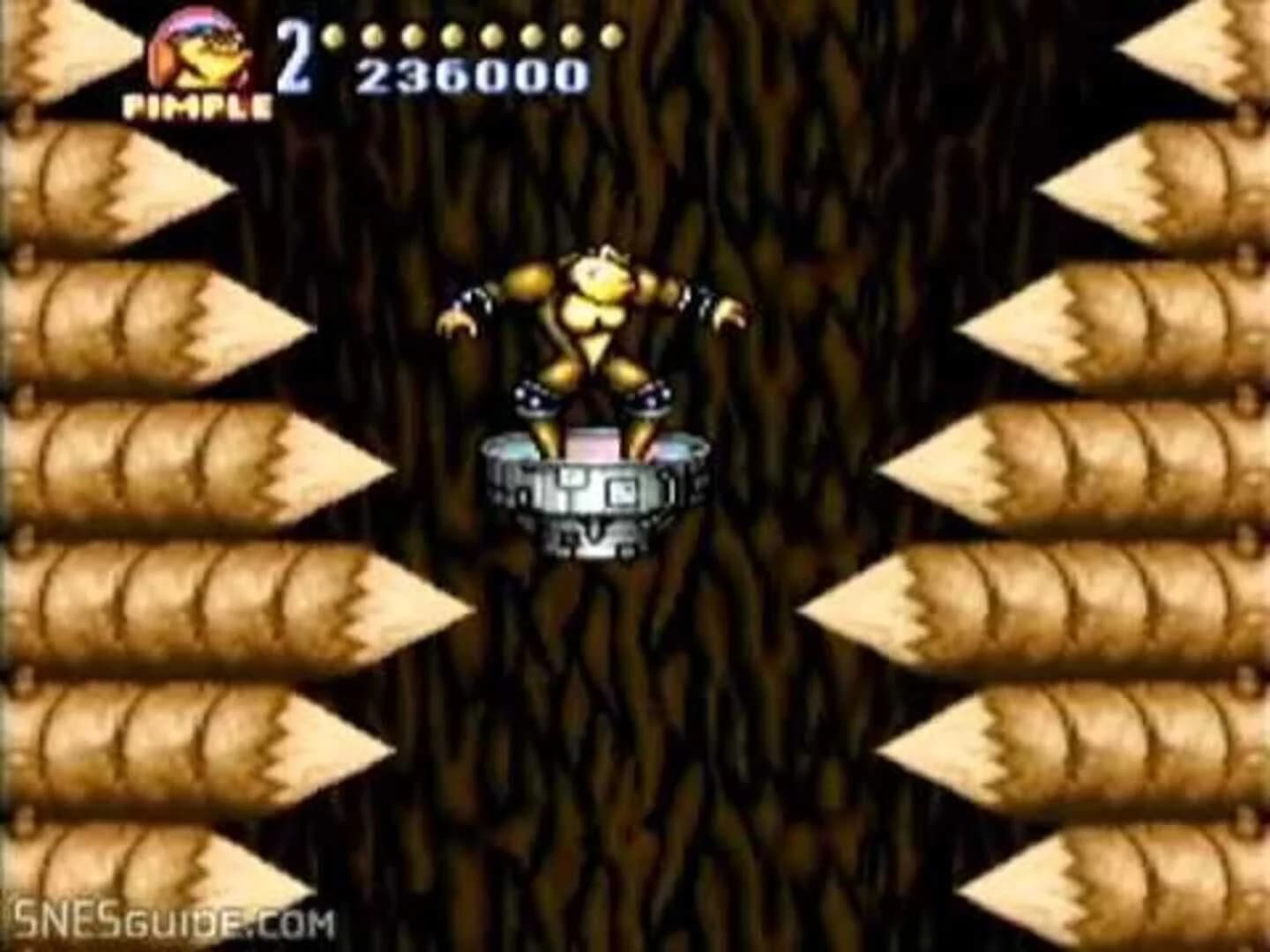 Battletoads In Battlemaniacs screenshot 2