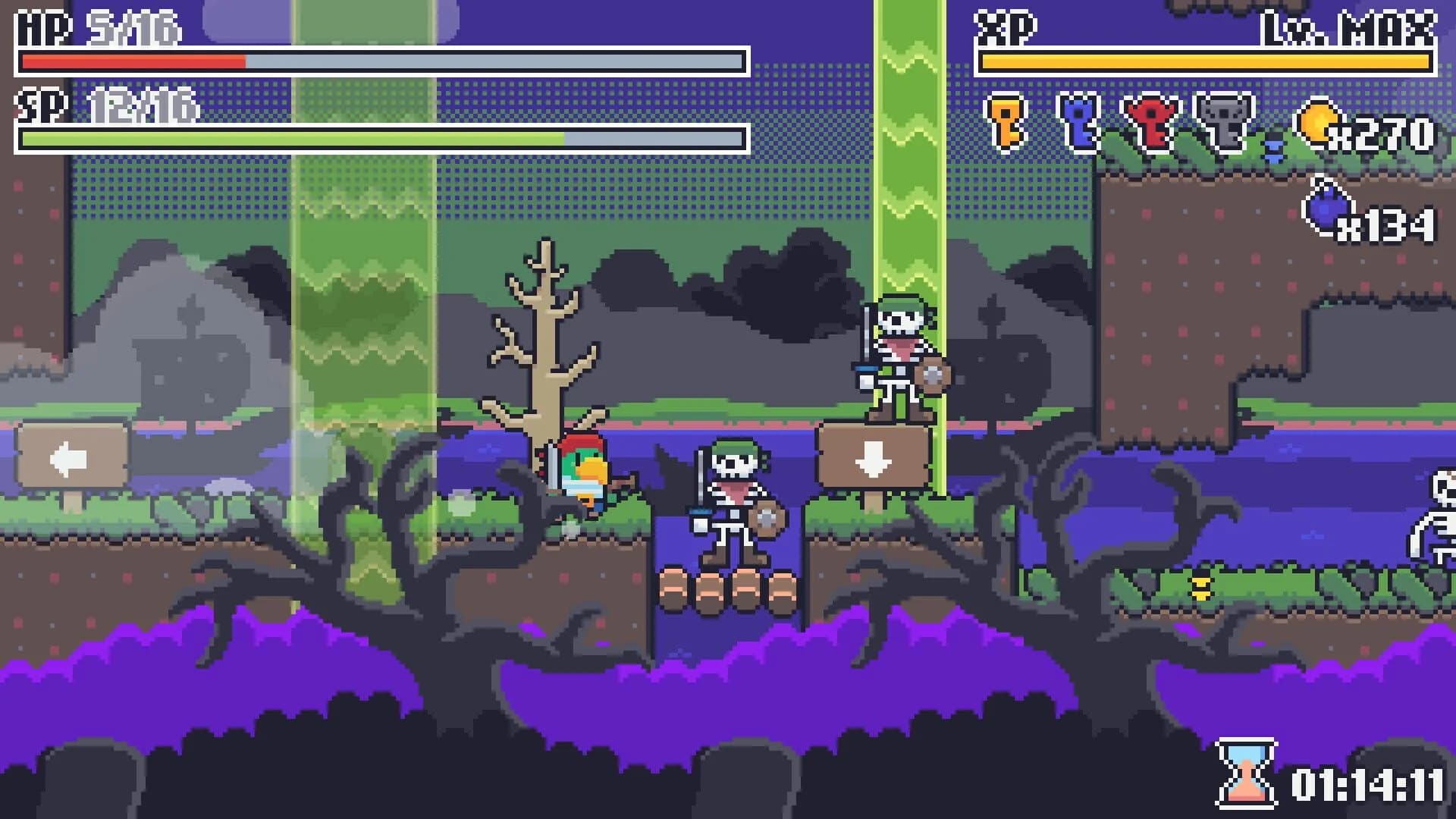 Beaked Buccaneer screenshot 4