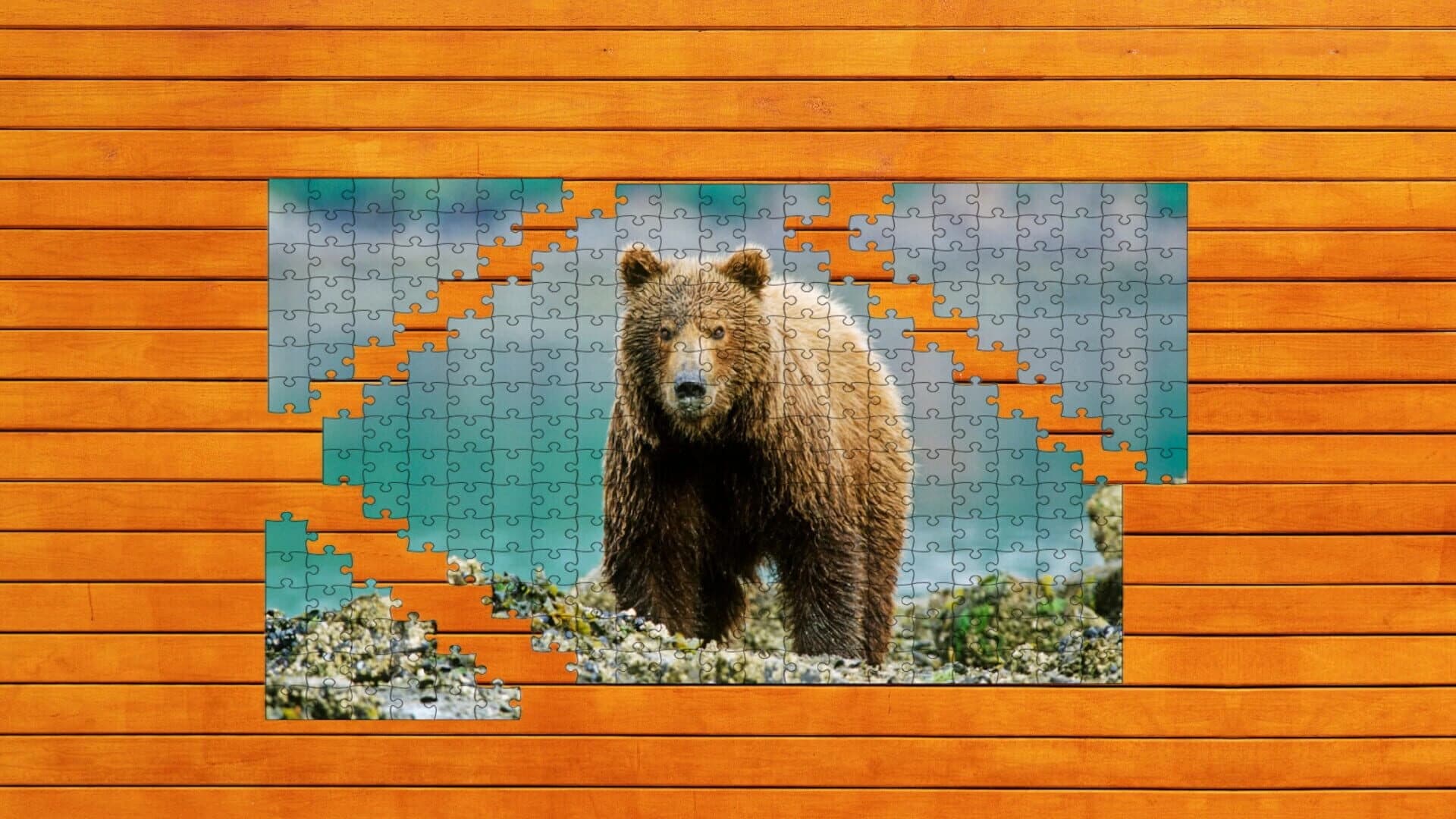 Bear vs. Wolf Jigsaw Puzzle screenshot 3