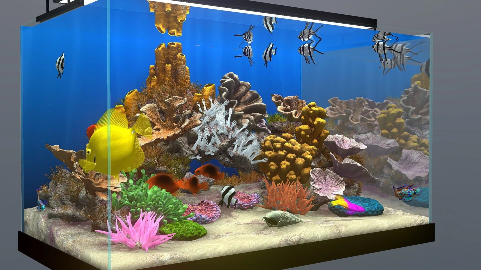 Behind Glass: Aquarium Simulator screenshot 5