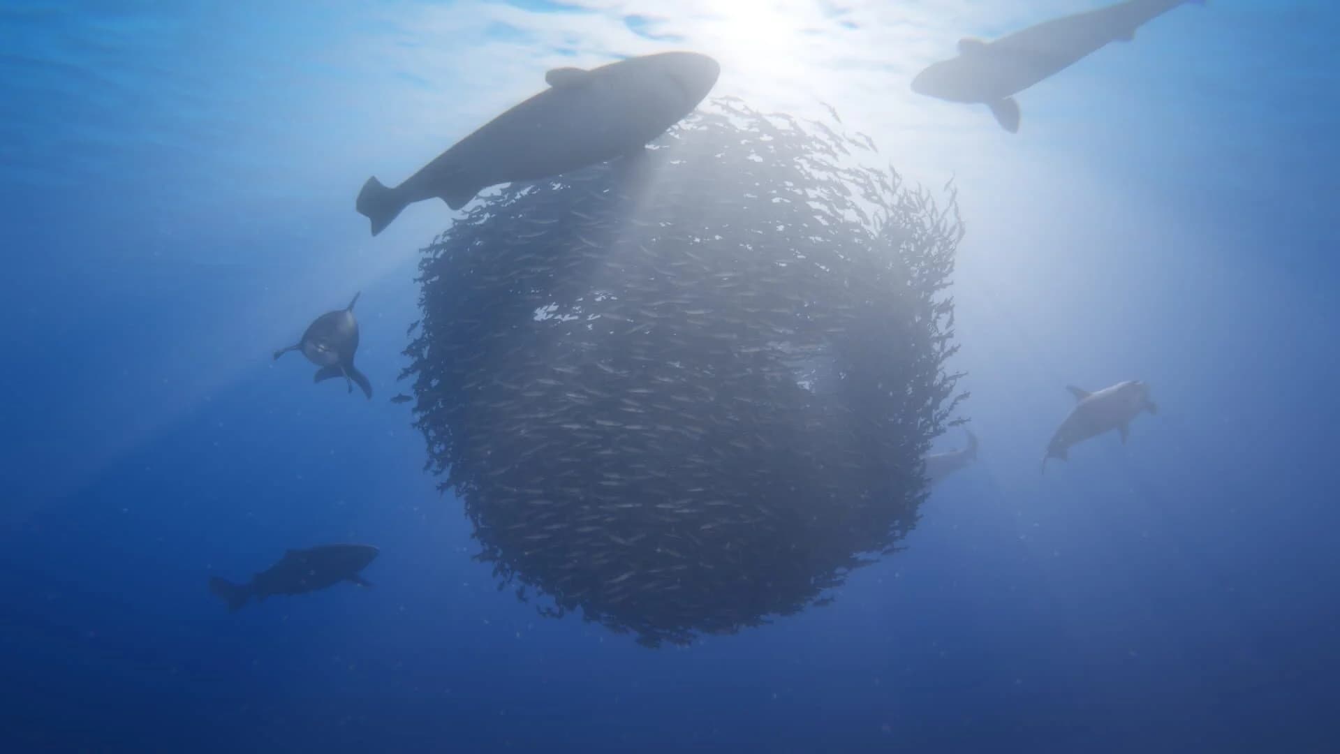 Beyond Blue screenshot 2