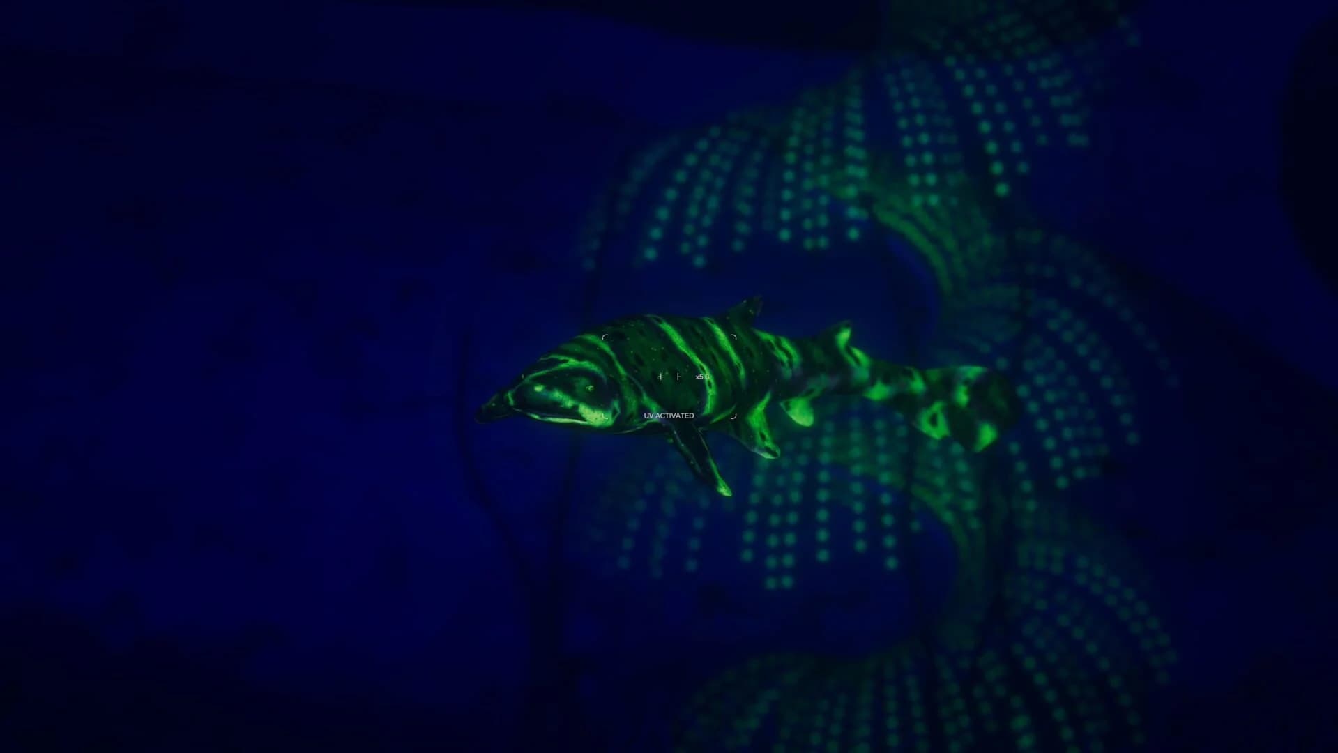 Beyond Blue screenshot 5