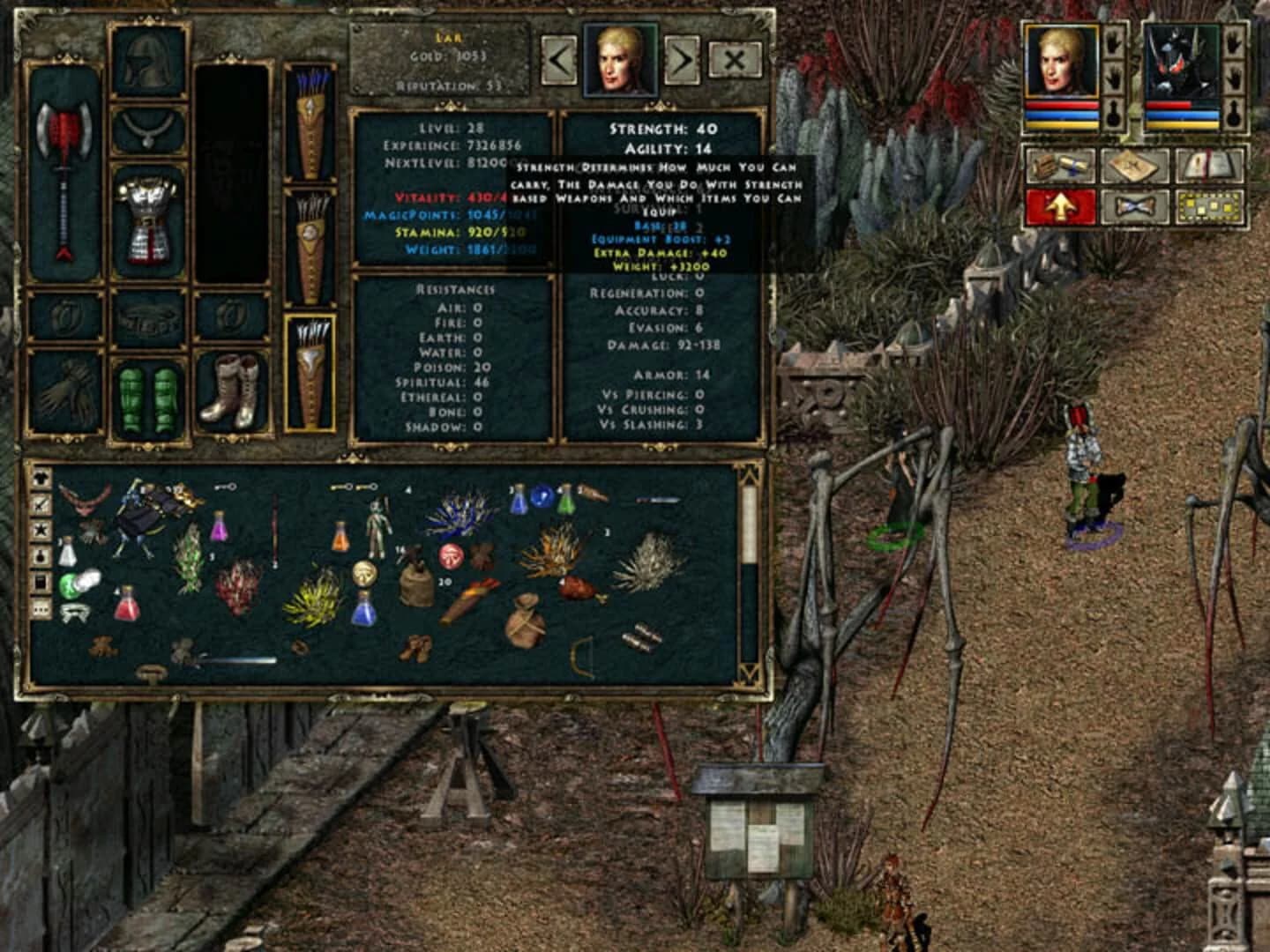 Beyond Divinity screenshot 5