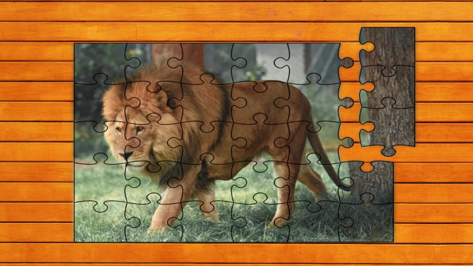 Big Cat Jigsaw Quest screenshot 2