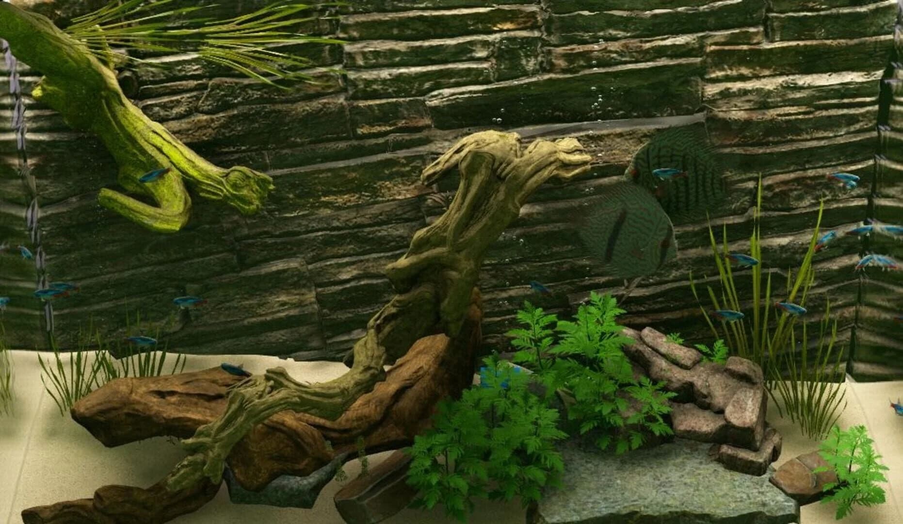 Biotope: Aquarium Simulator screenshot 1