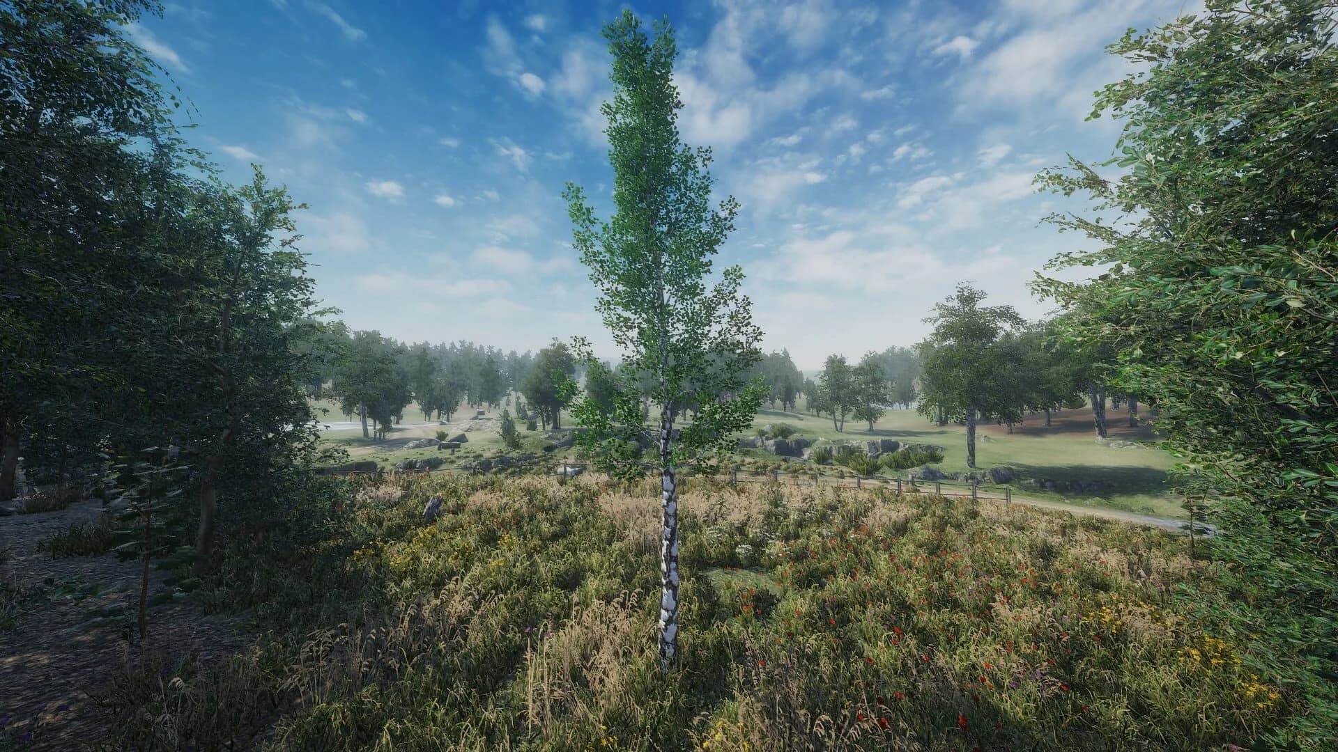 Birch Simulator screenshot 4