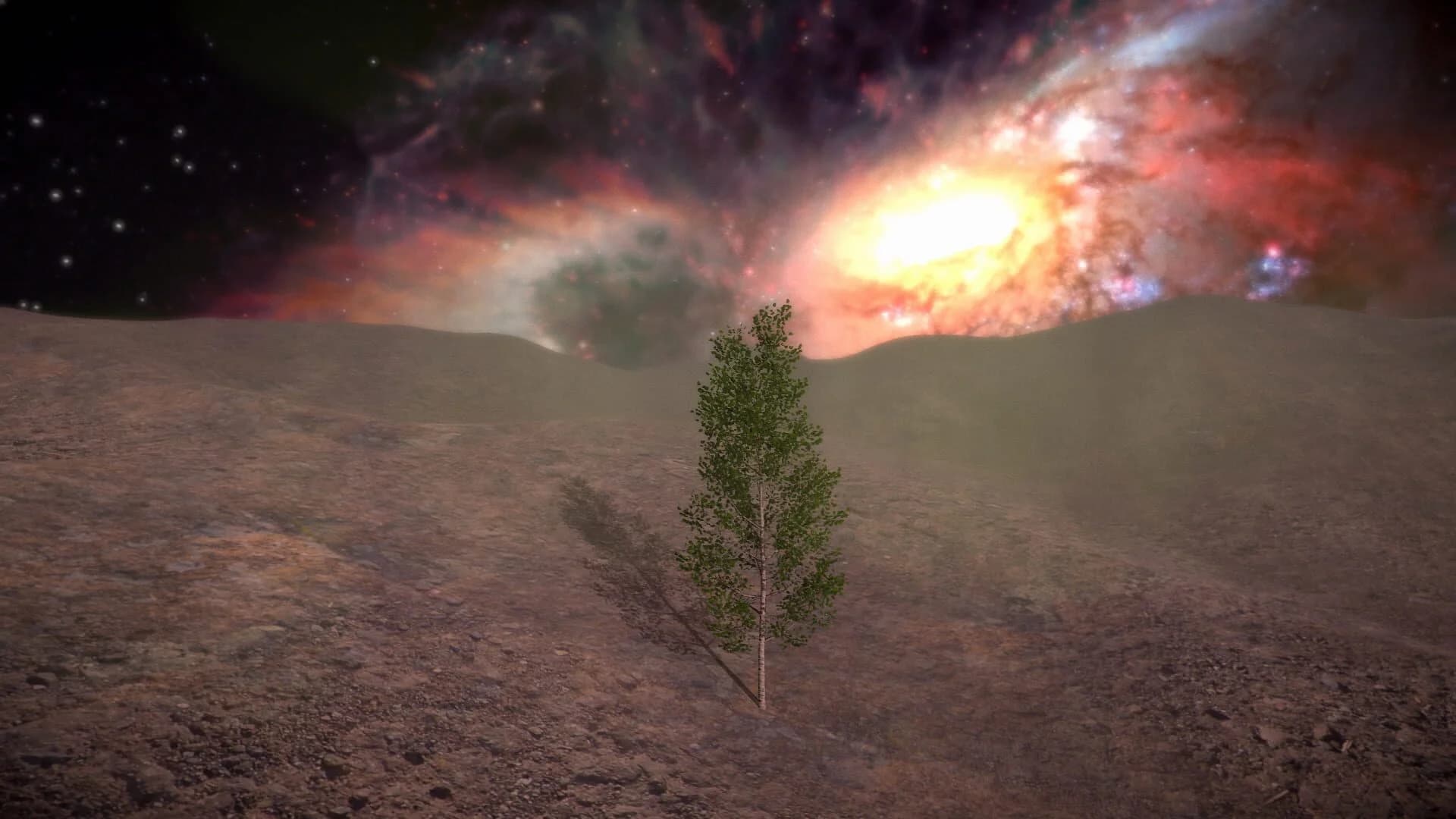 Birch Simulator screenshot 1