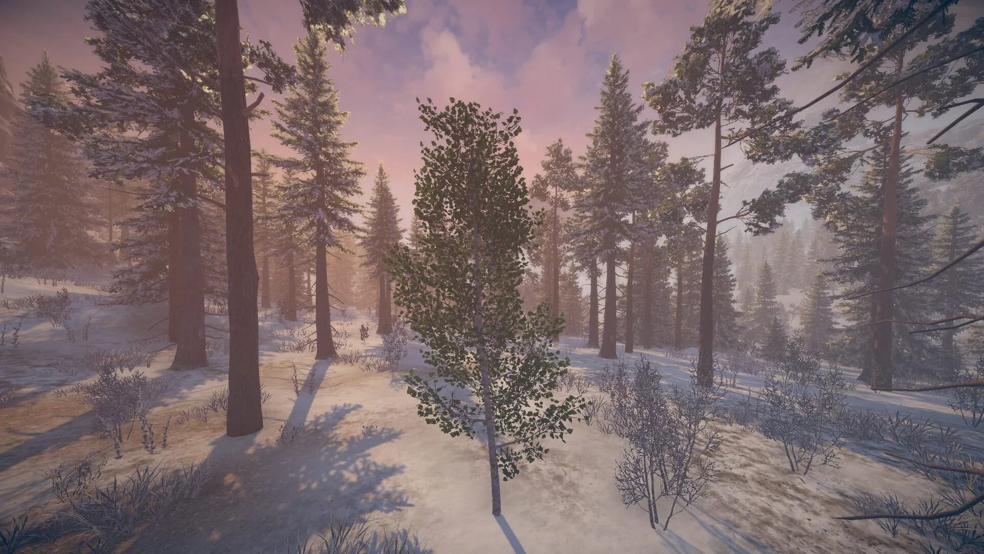 Birch Simulator screenshot 5