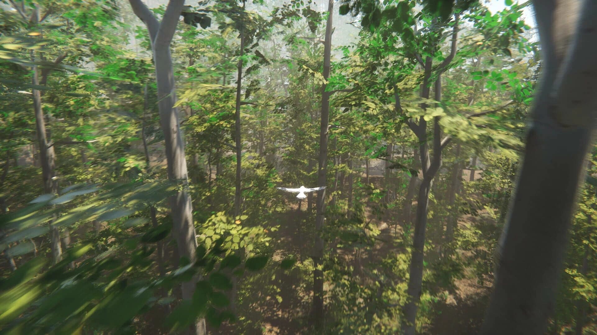 Bird screenshot 5