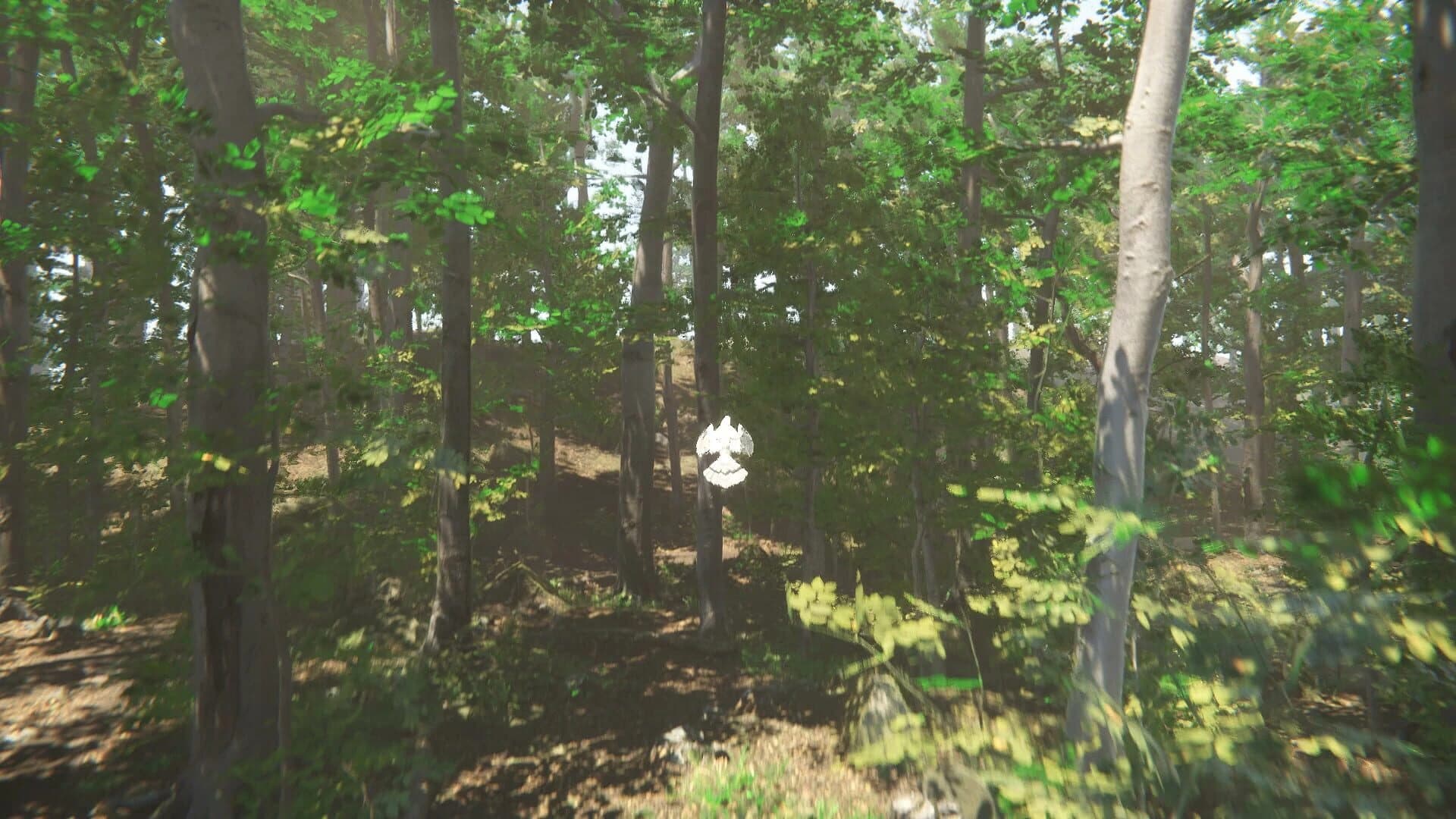 Bird screenshot 3