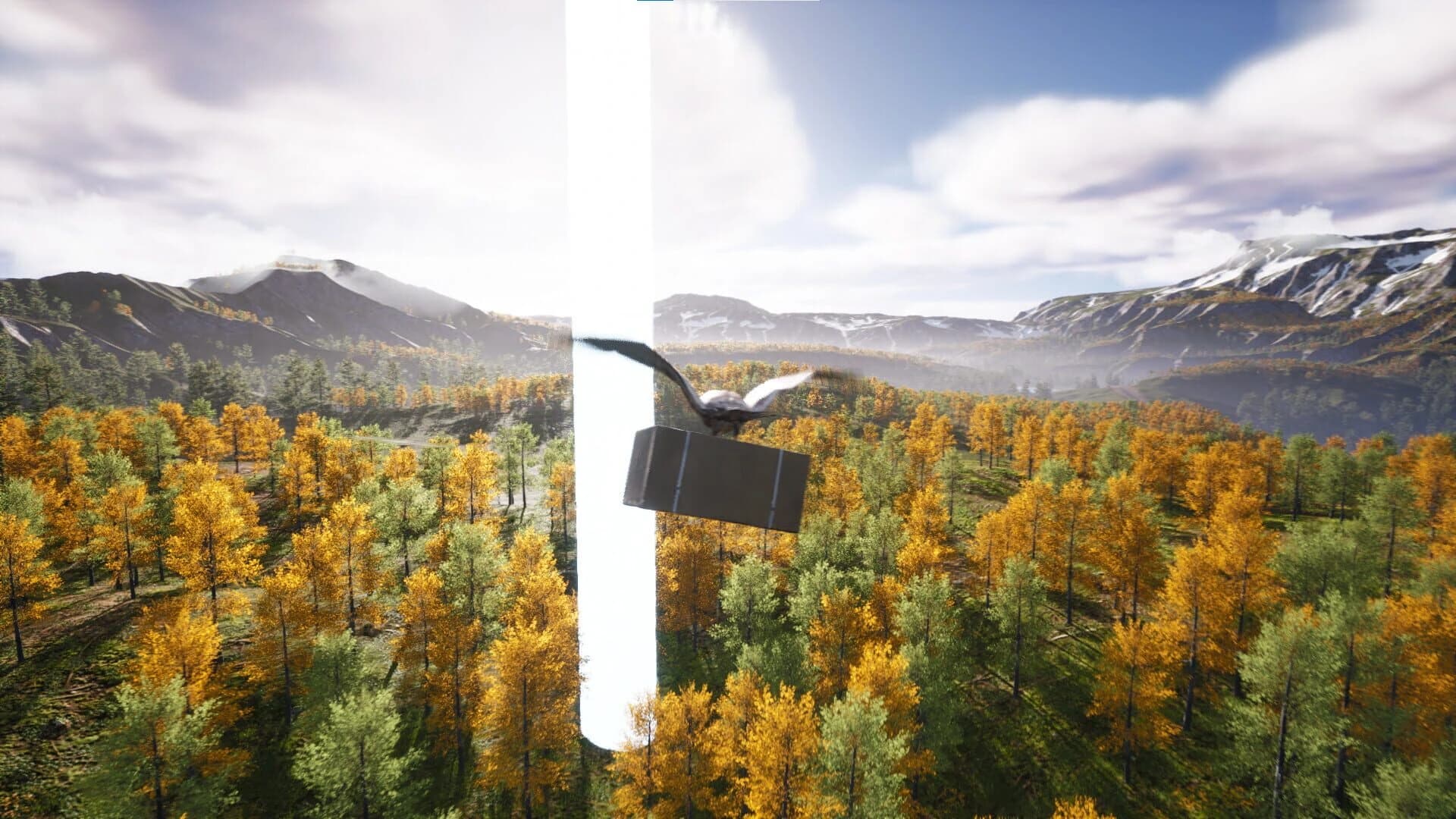 Bird's Eye Odyssey screenshot 4