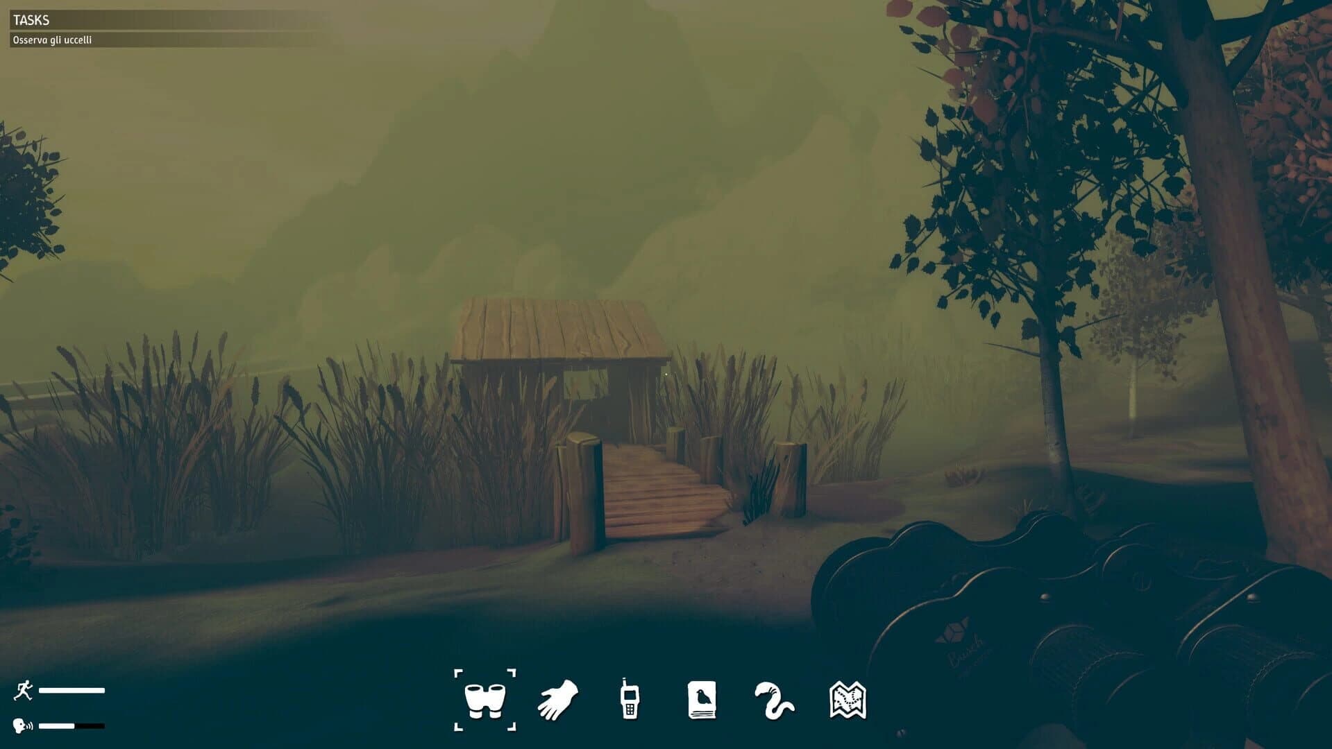 Birds Watching screenshot 1