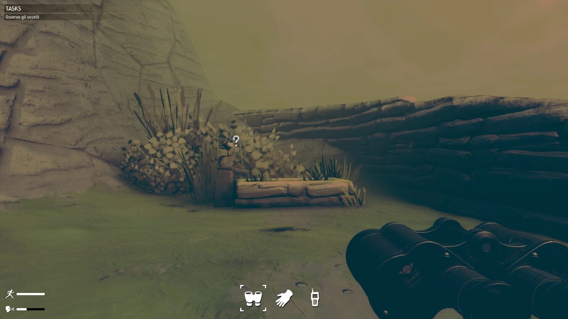 Birds Watching screenshot 5