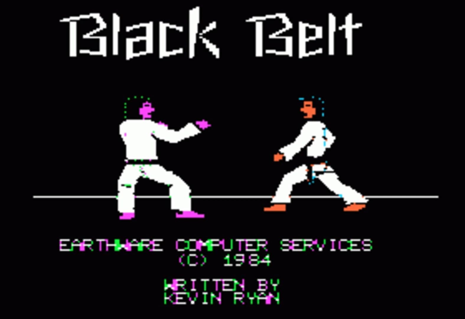 Black Belt screenshot 2