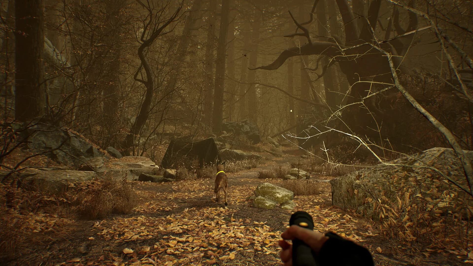 Blair Witch VR screenshot 5