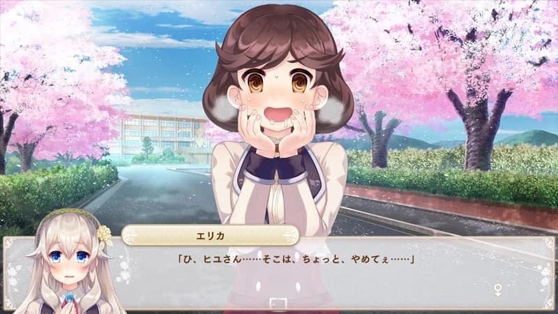 Bokuhime Project screenshot 4