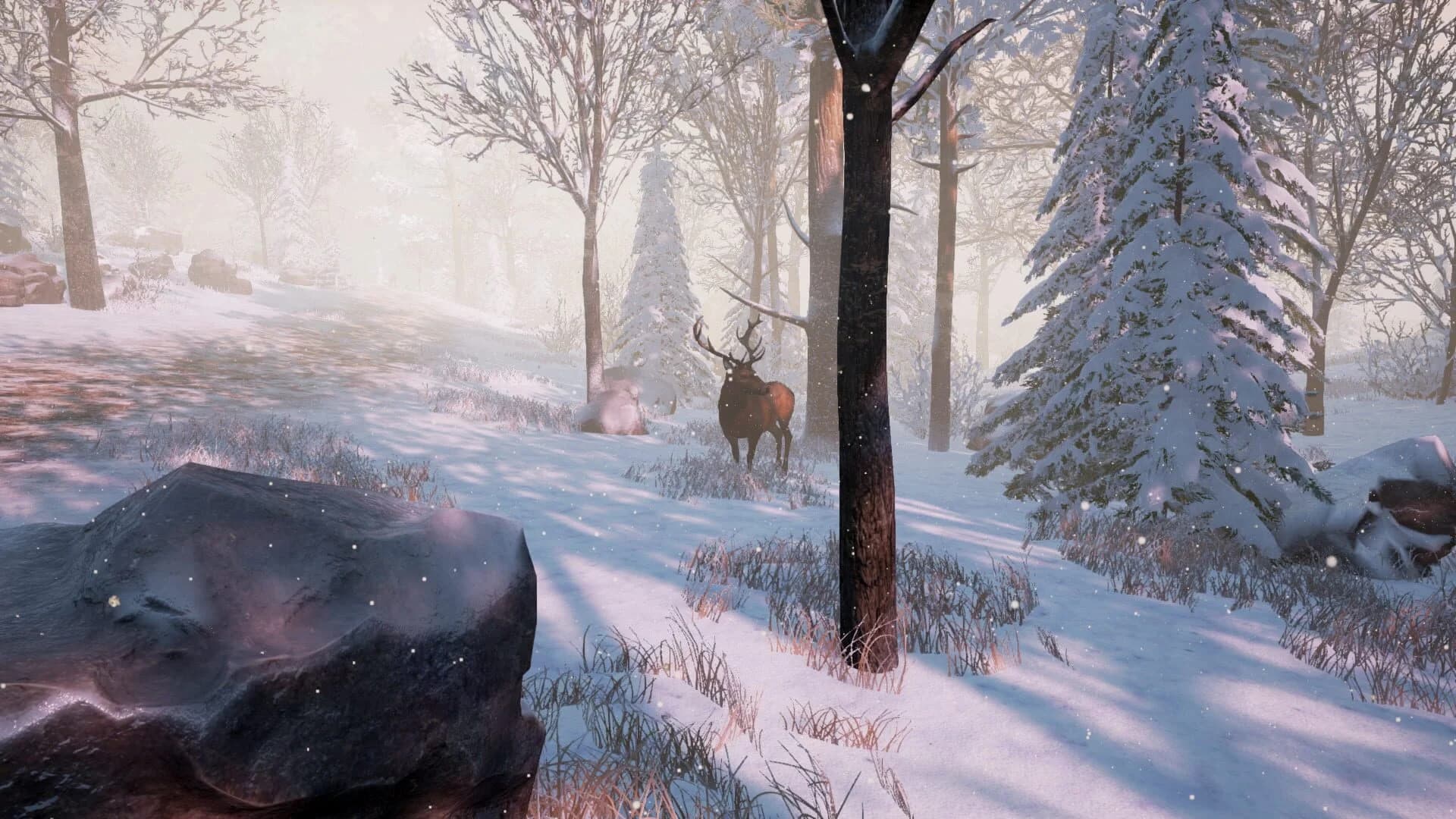 Bottle screenshot 4