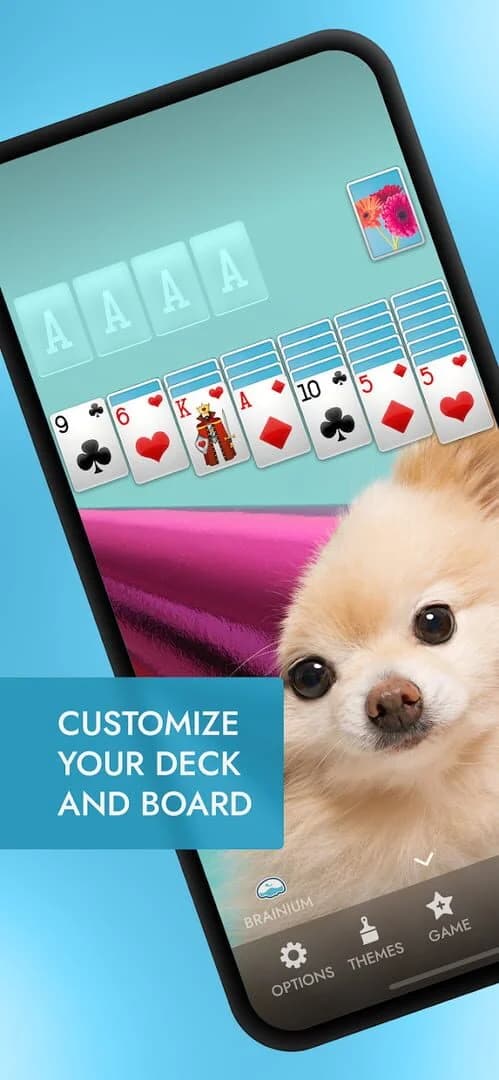 Brainium Solitaire screenshot 4