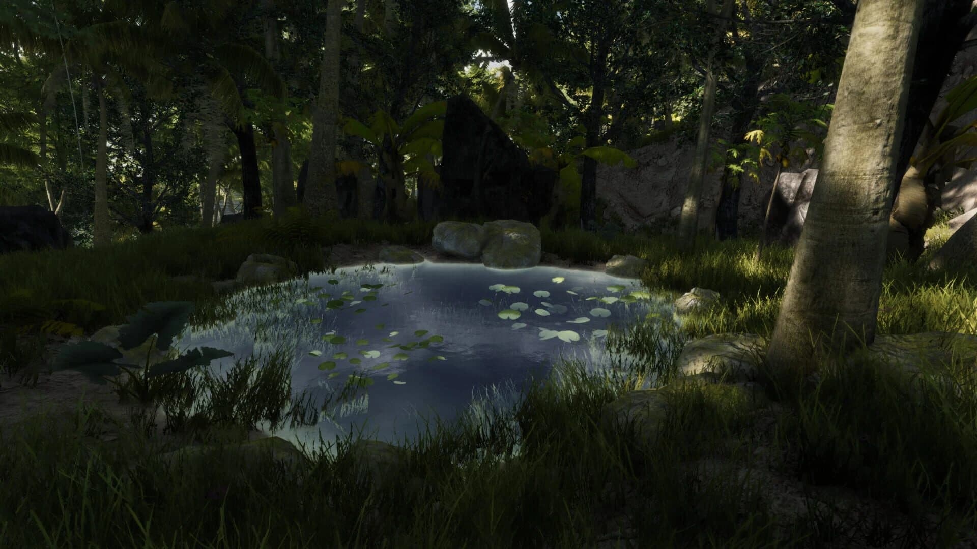 Bromeliad screenshot 5