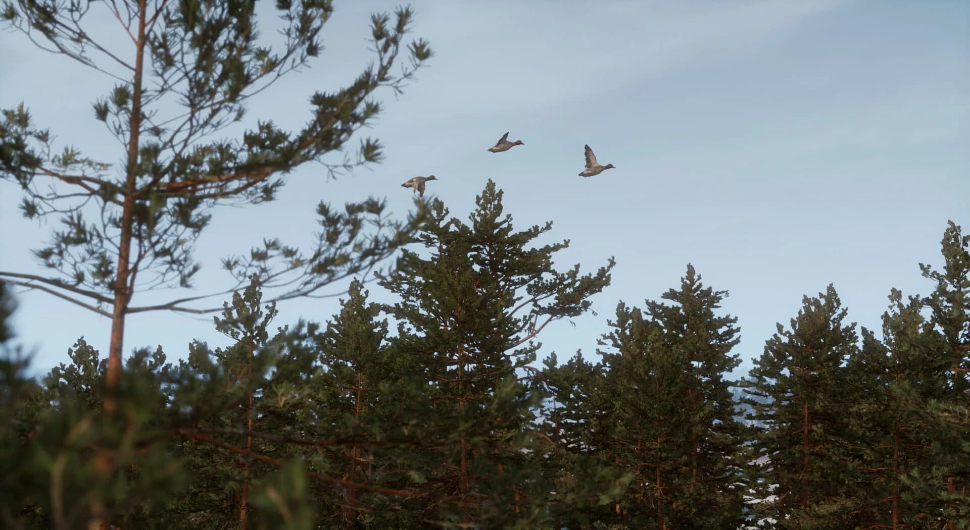 Bult: Hunting Simulator screenshot 4