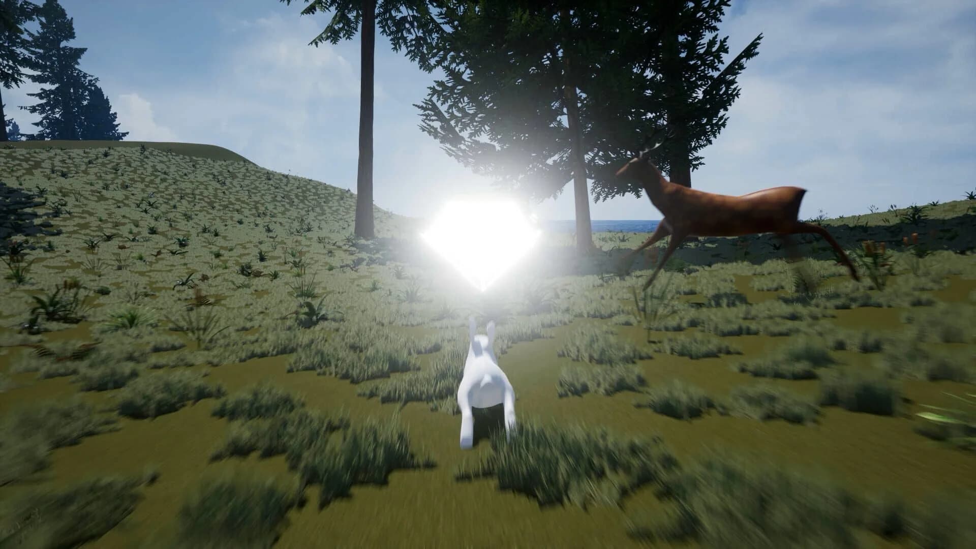 Bunny's Buddy screenshot 2