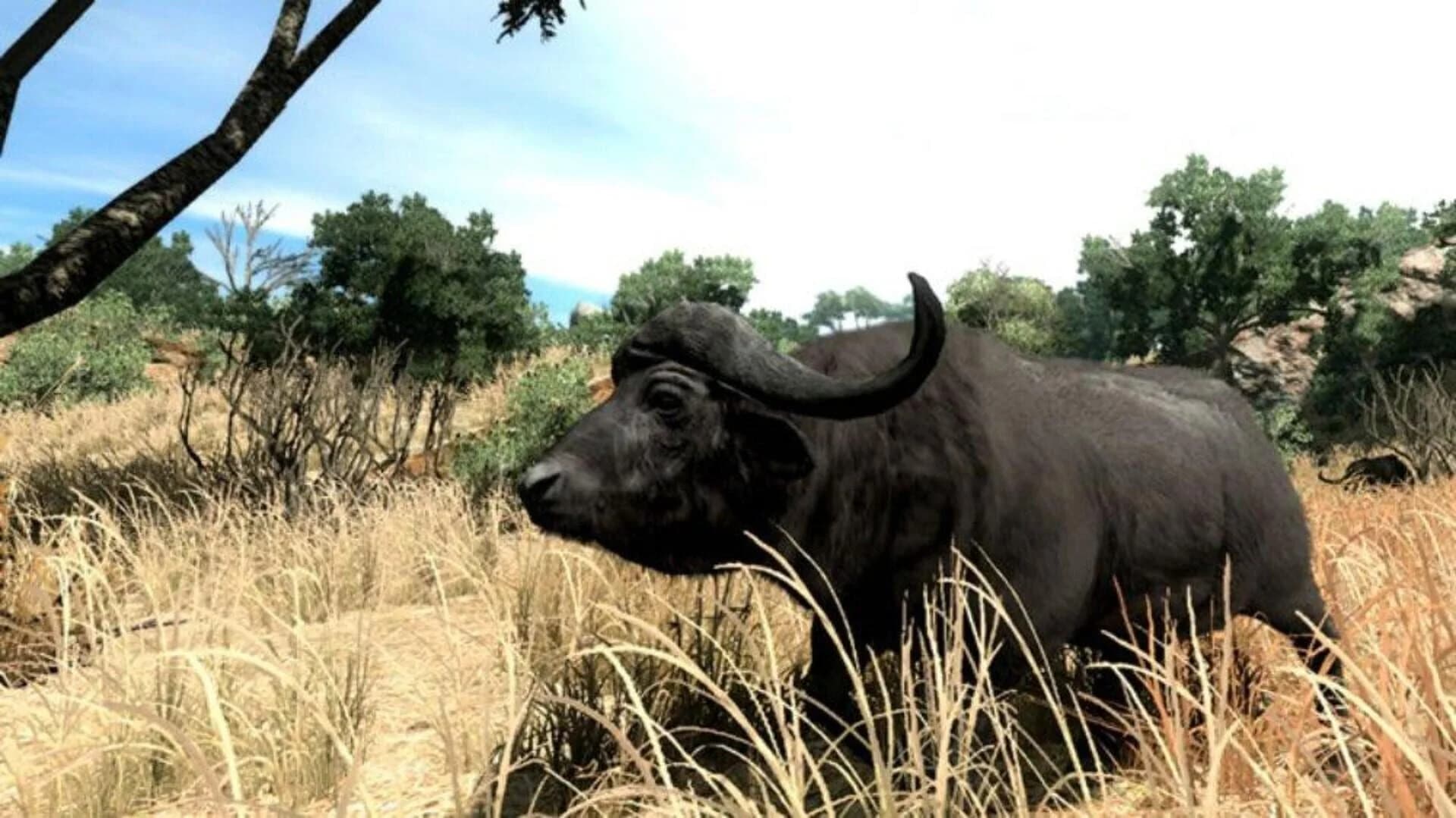 Cabela's Big Game Hunter 2010 screenshot 2