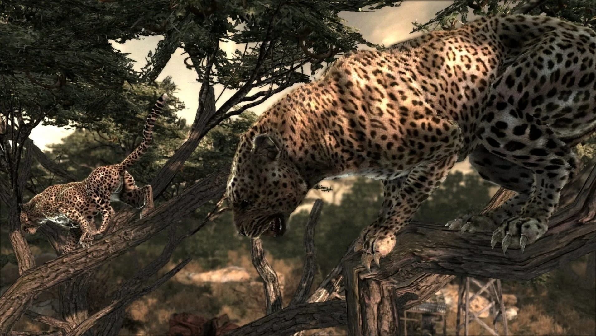 Cabela's Dangerous Hunts 2011 screenshot 2