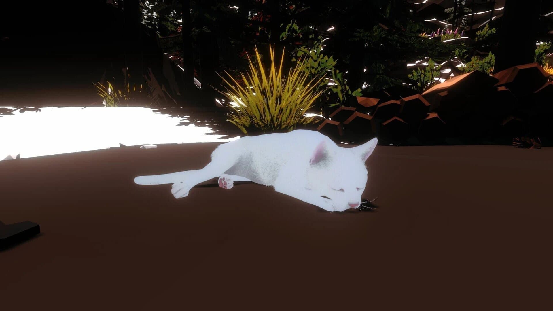 Campfire with Cat screenshot 5