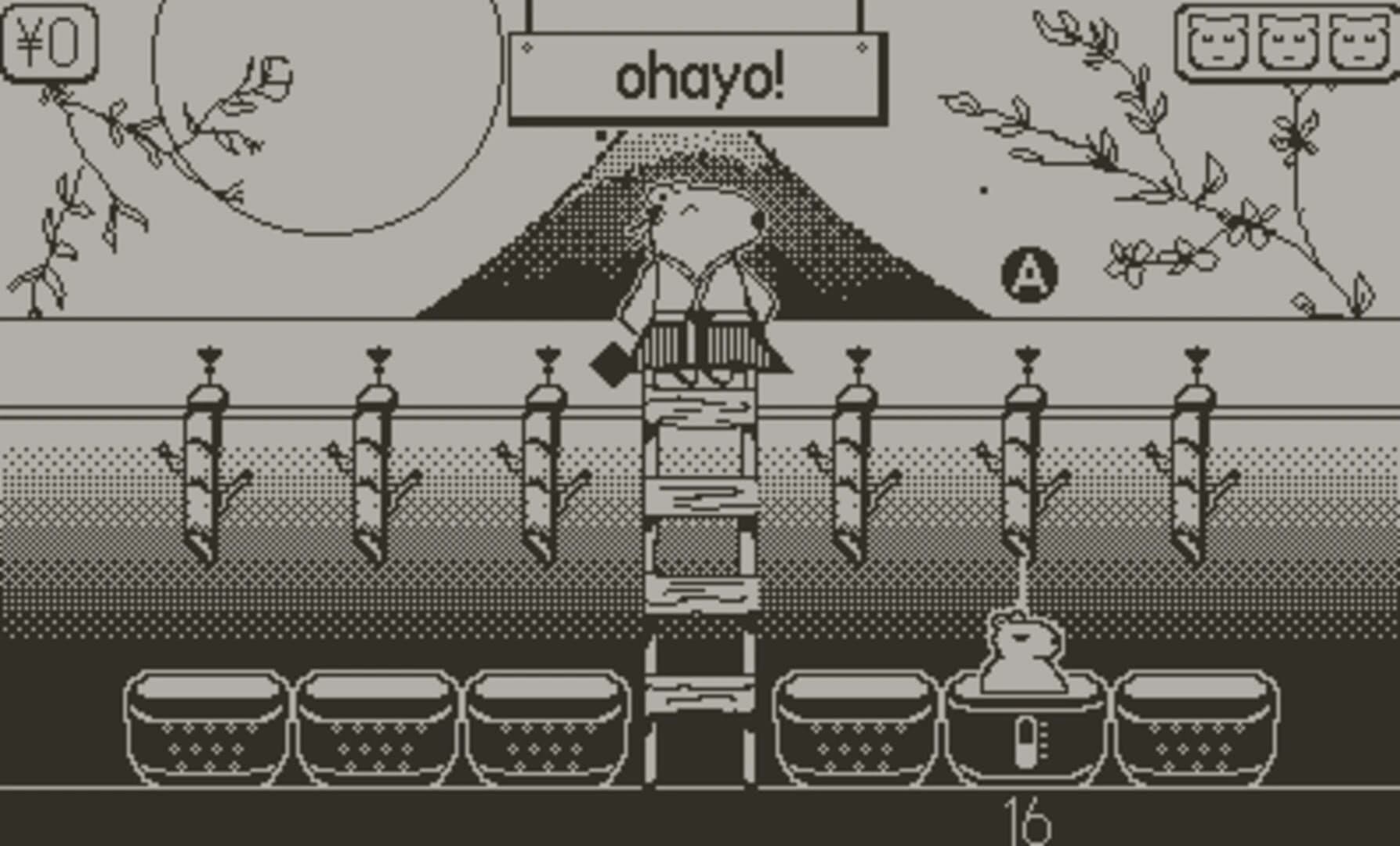 Capy Spa screenshot 3