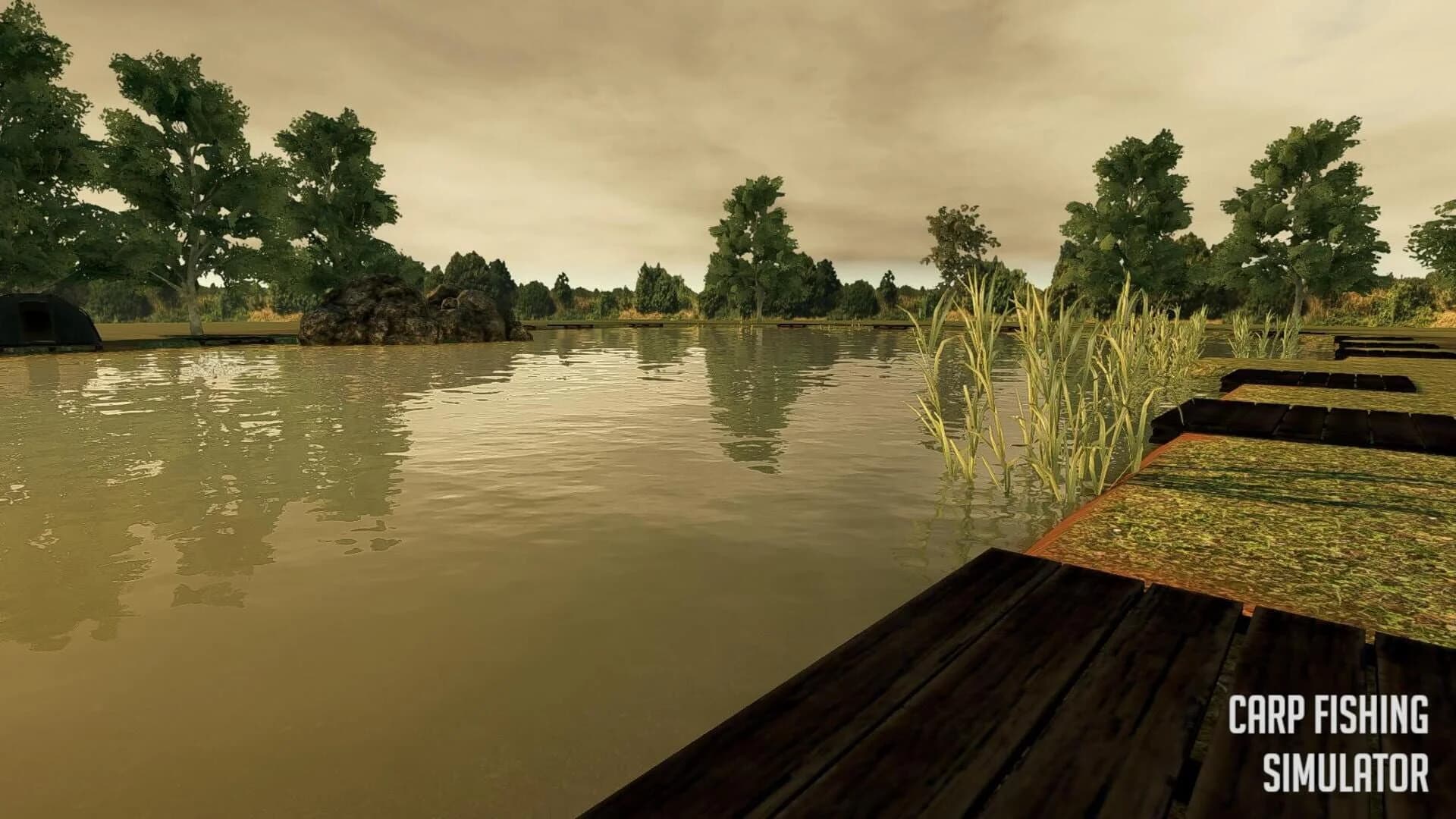Carp Fishing Simulator screenshot 5