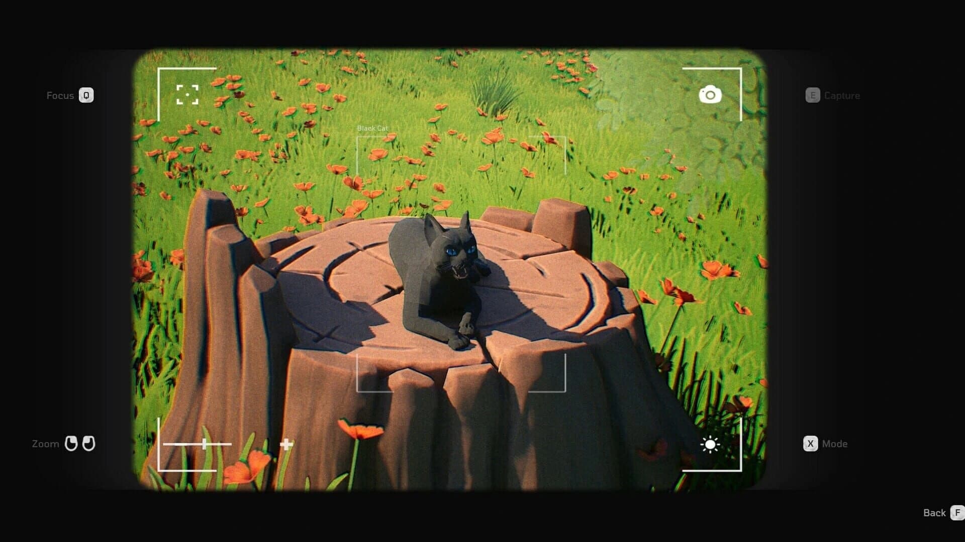 Cat a Photo screenshot 3