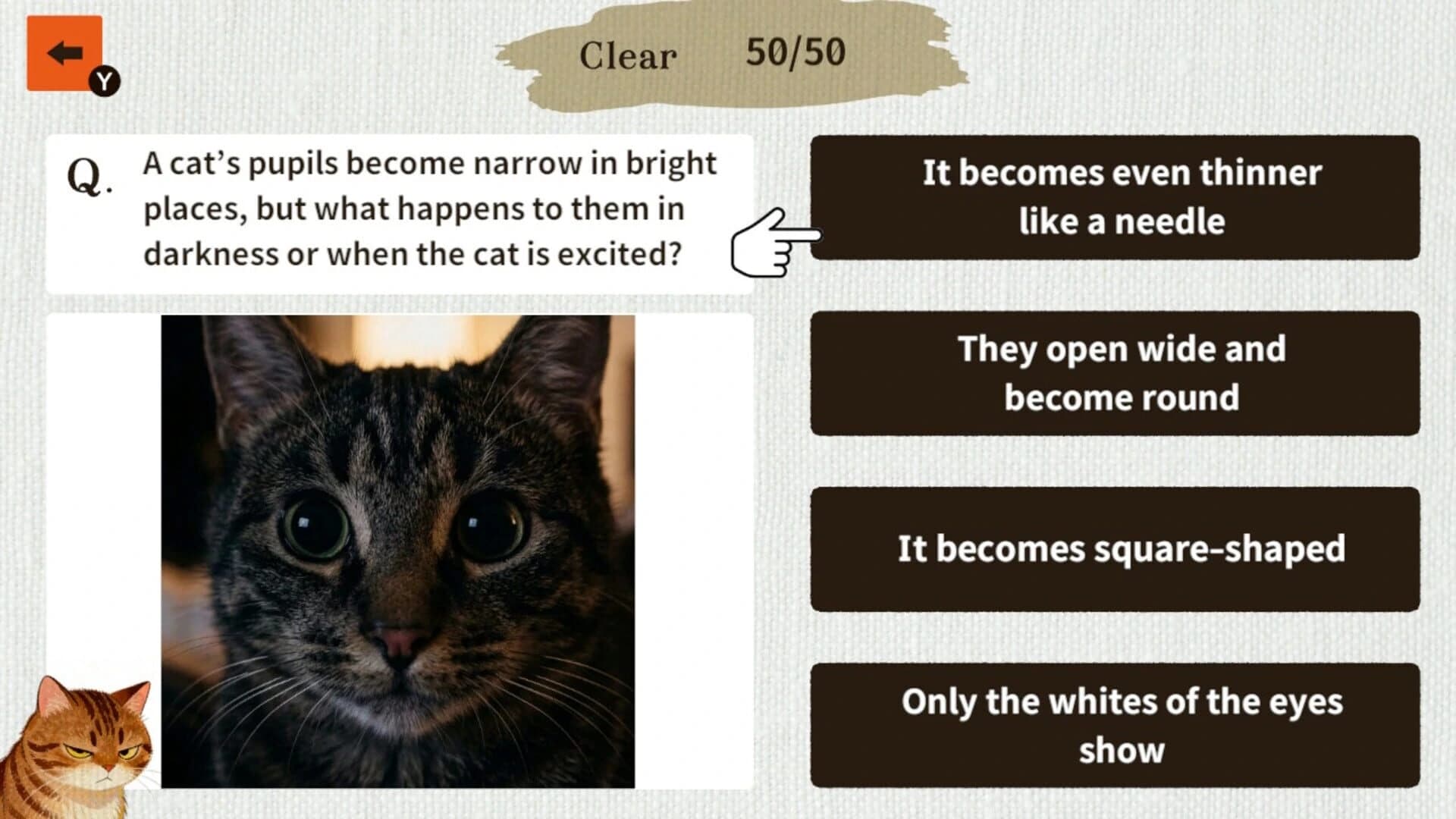 Cat Doctor: For Loyal Servants screenshot 4