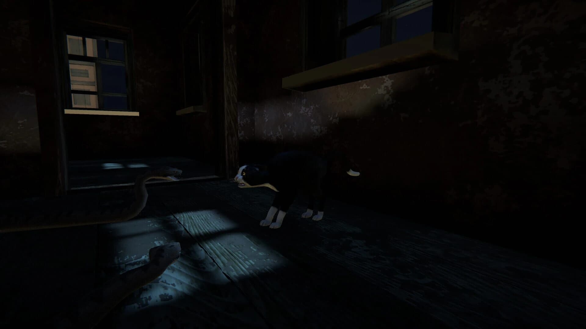 Cat Life screenshot 5