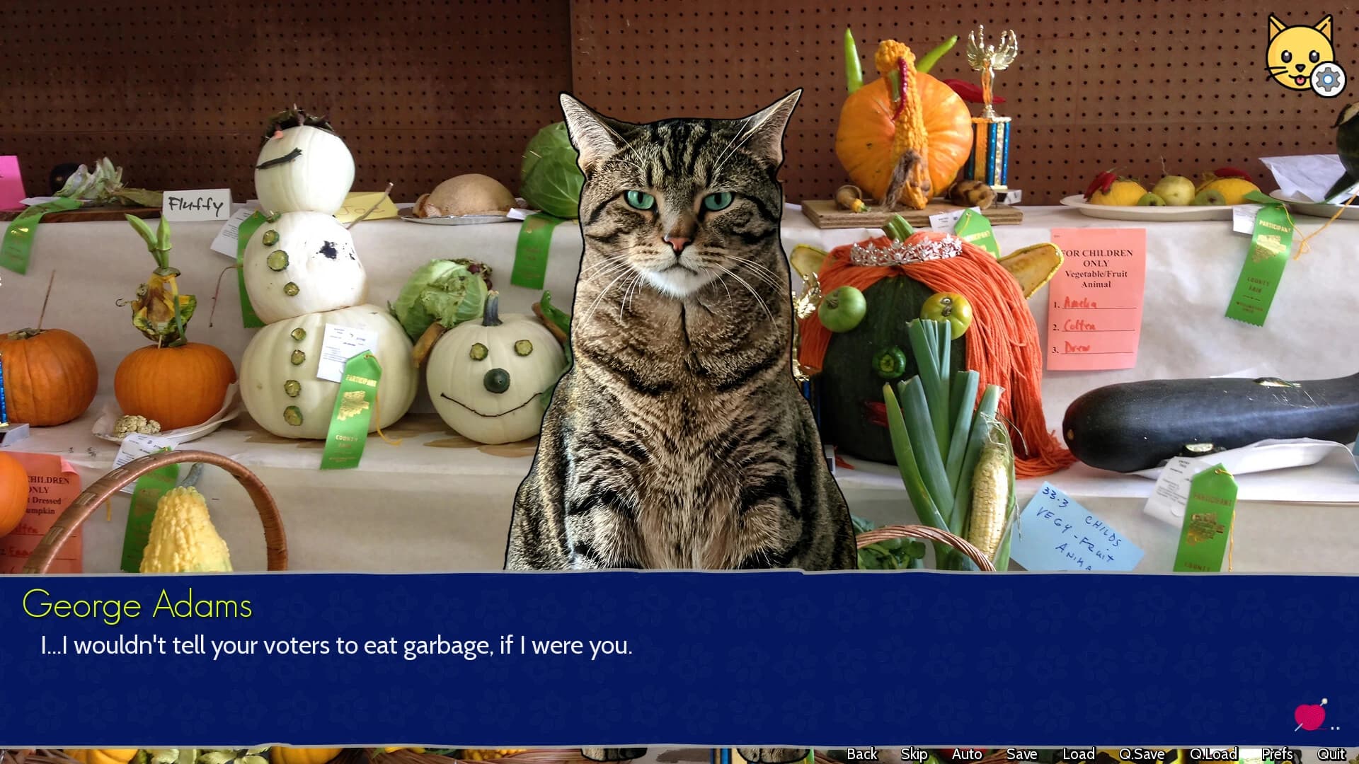Cat President: 3rd-Rate Candidate screenshot 8