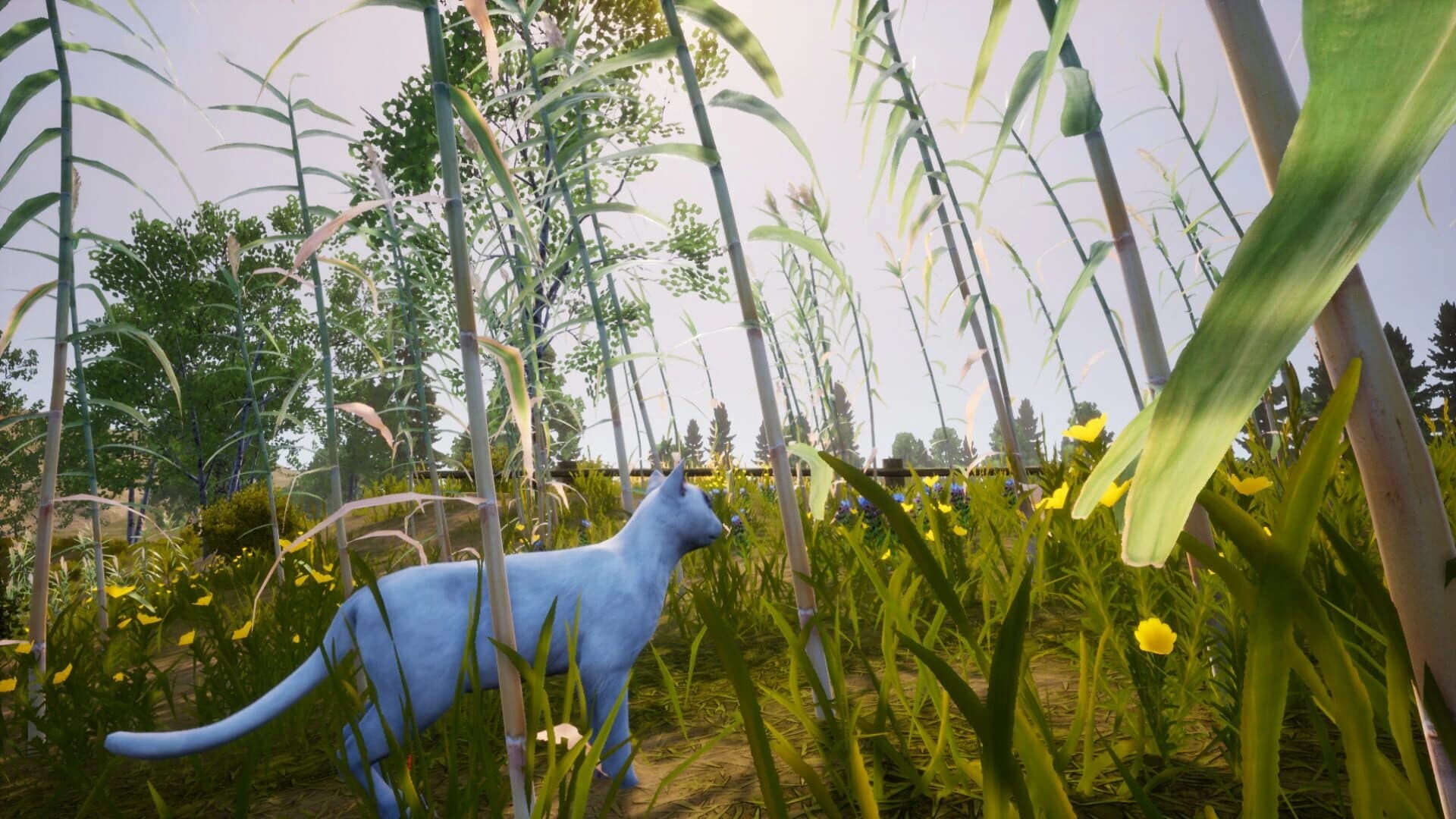 Cat Simulator: Meow screenshot 4