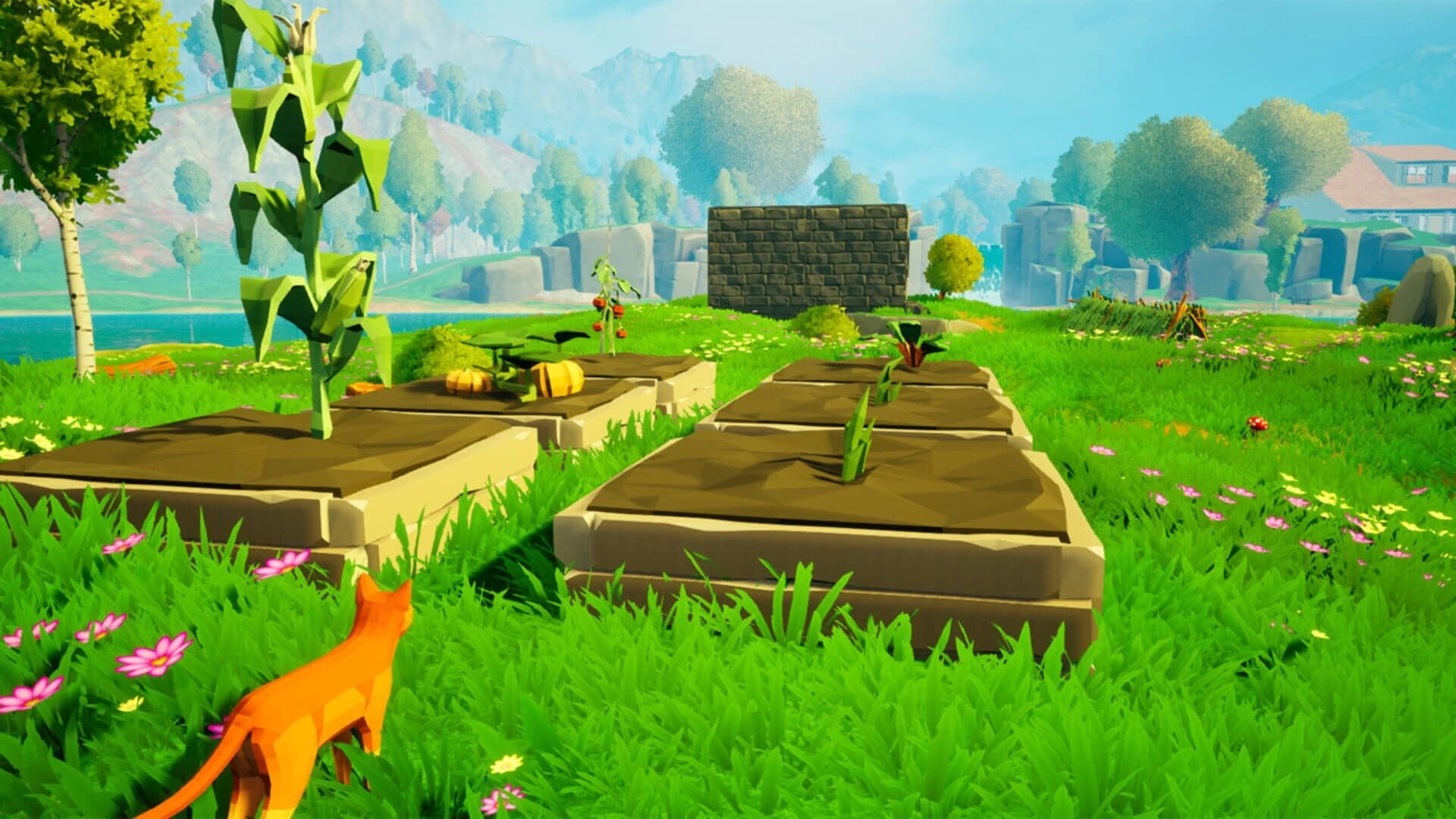 Cat Town screenshot 1