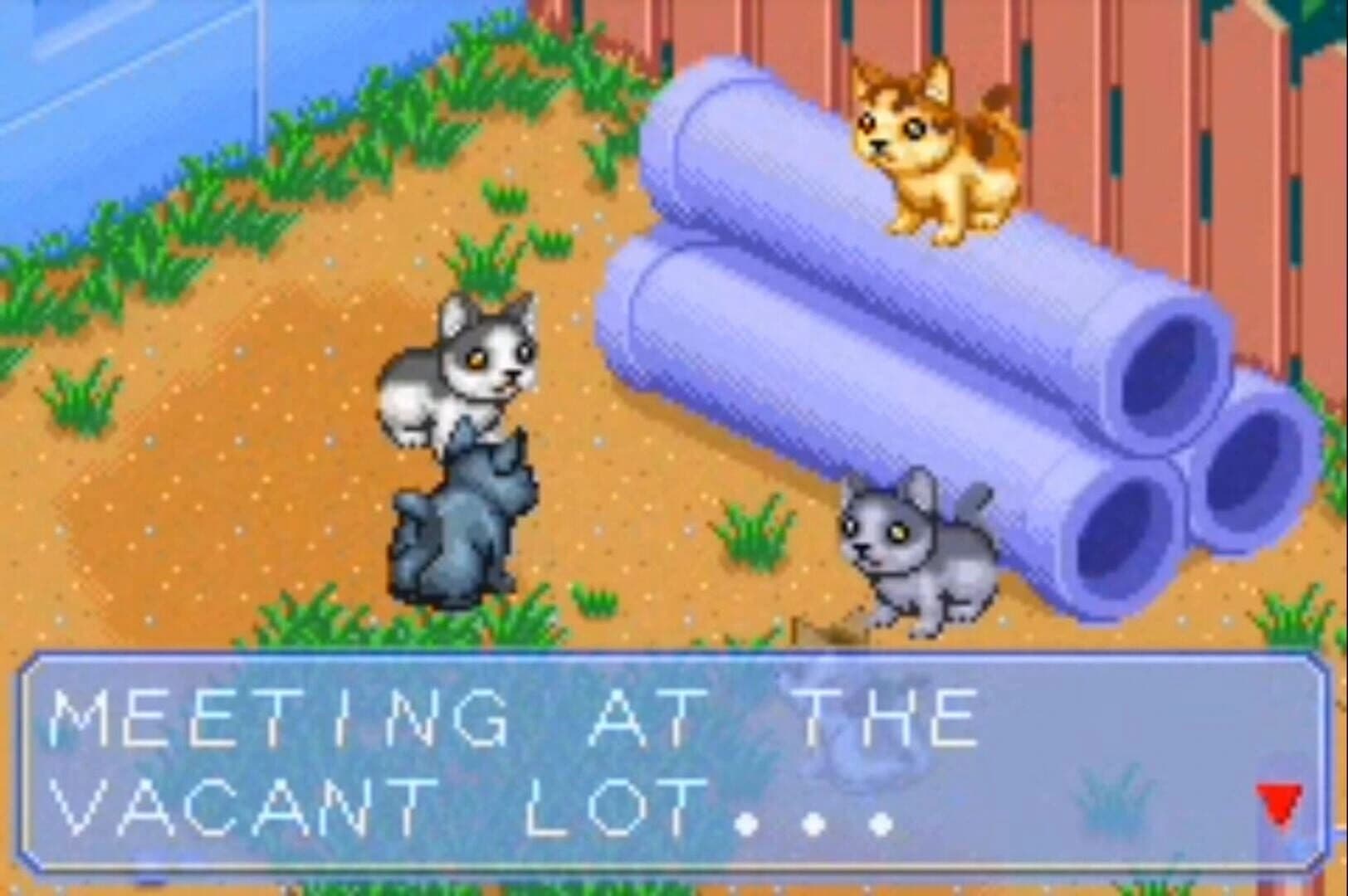 Catz screenshot 1